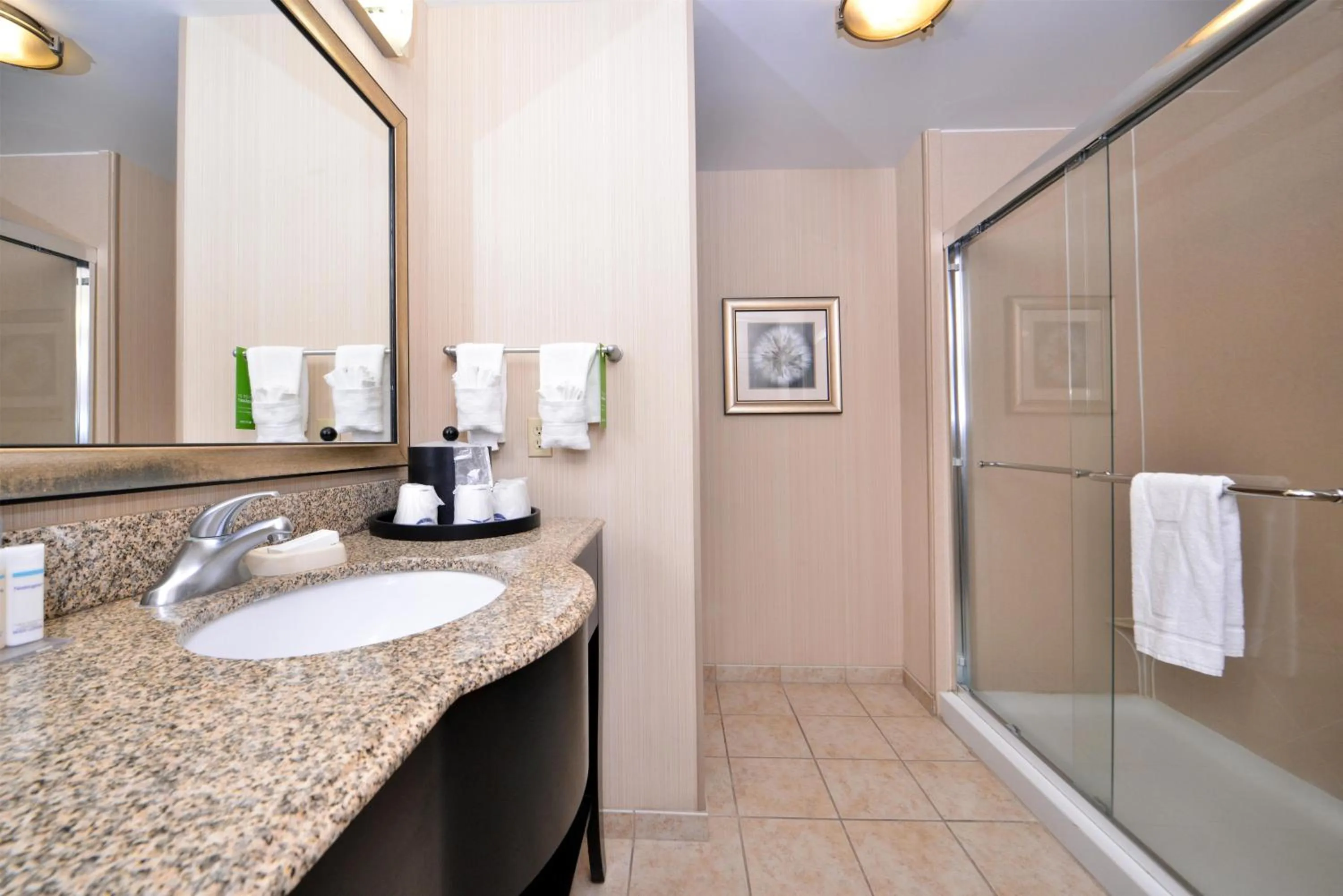 Bathroom in Hampton Inn Pecos