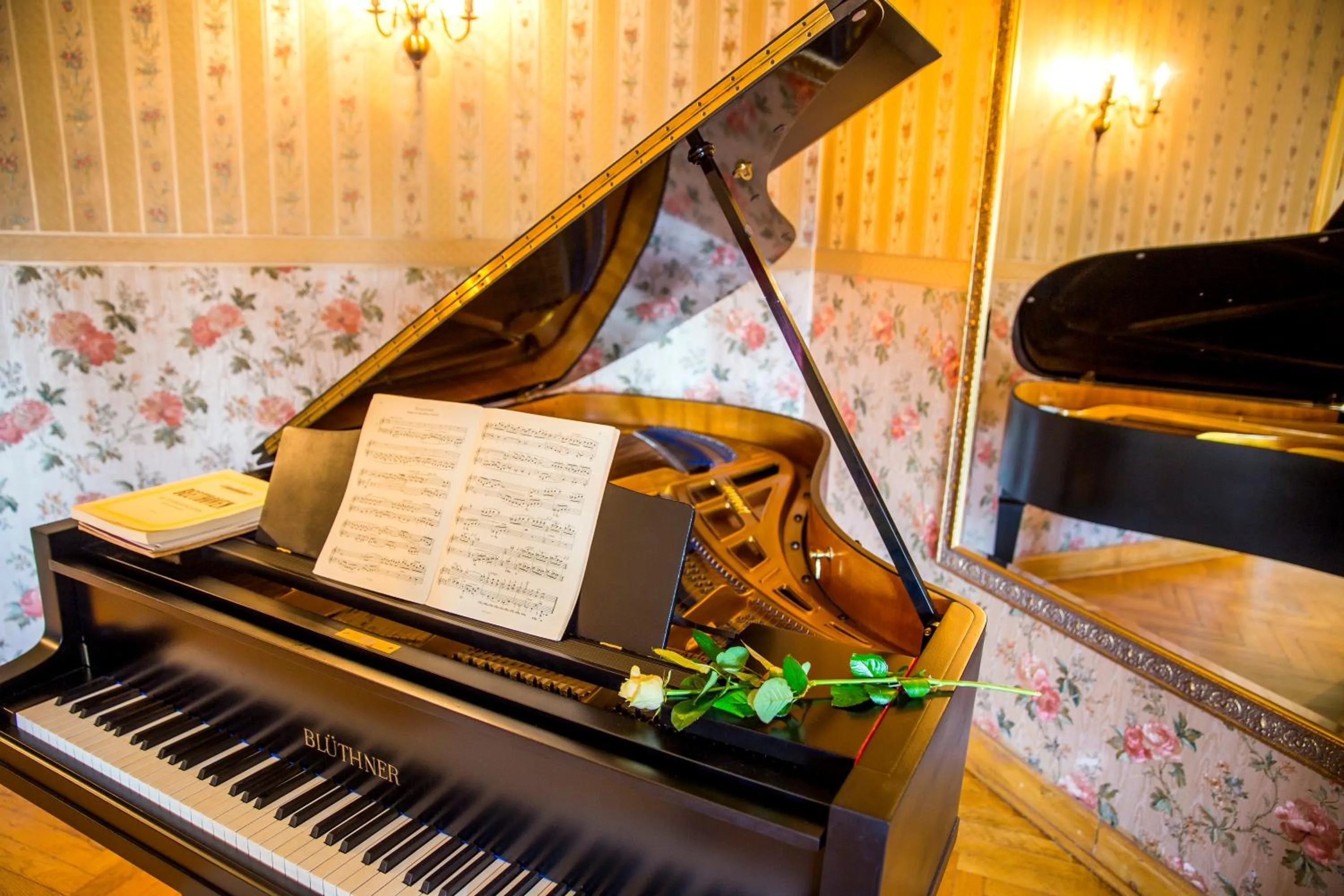 Evening entertainment in Zamek w Krokowej