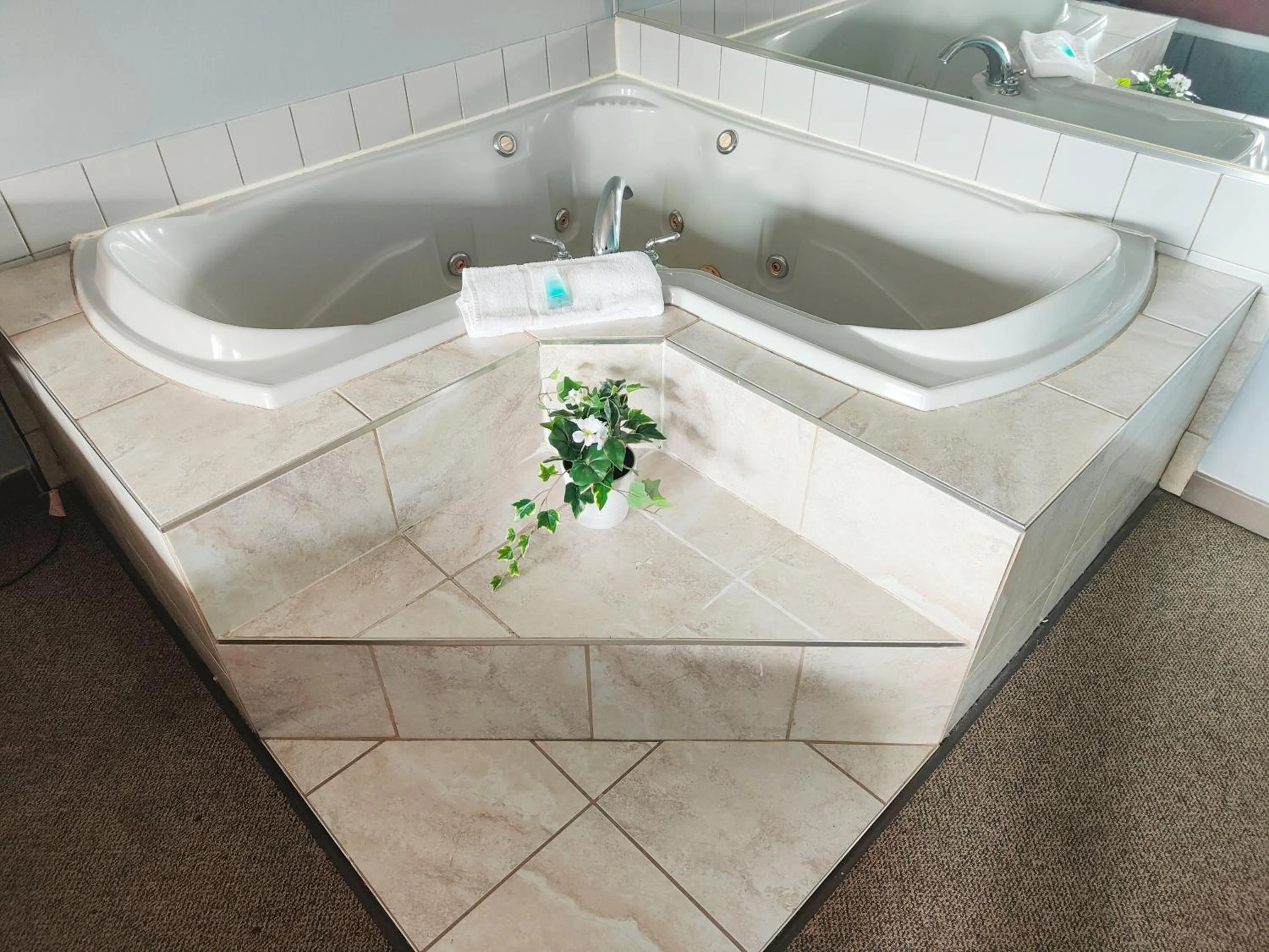 Motel Le Radisson de Val-David