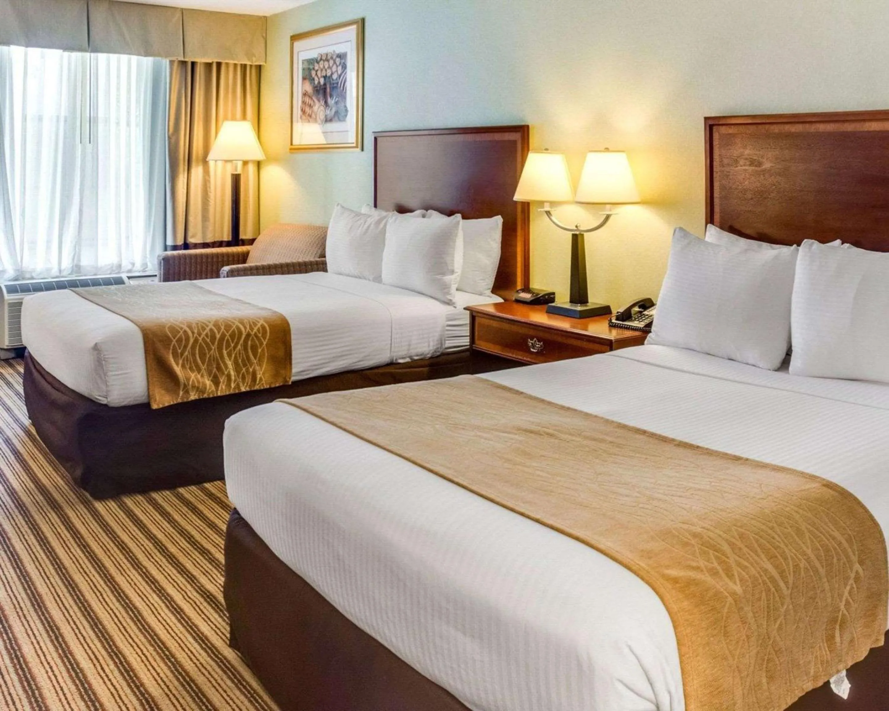 Photo of the whole room, Bed in Clarion Inn Fredericksburg North