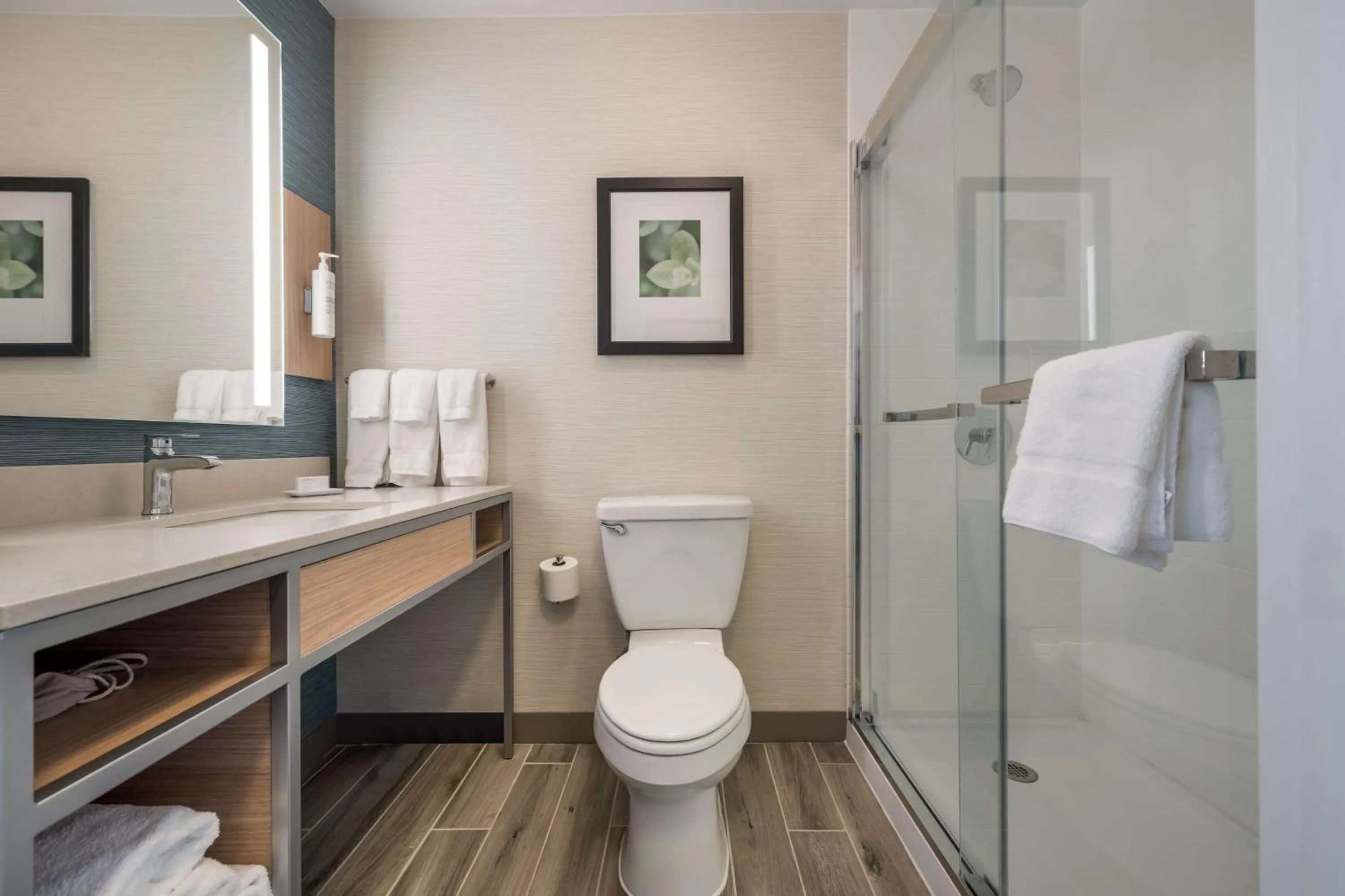 Bathroom in Hilton Garden Inn Rockford