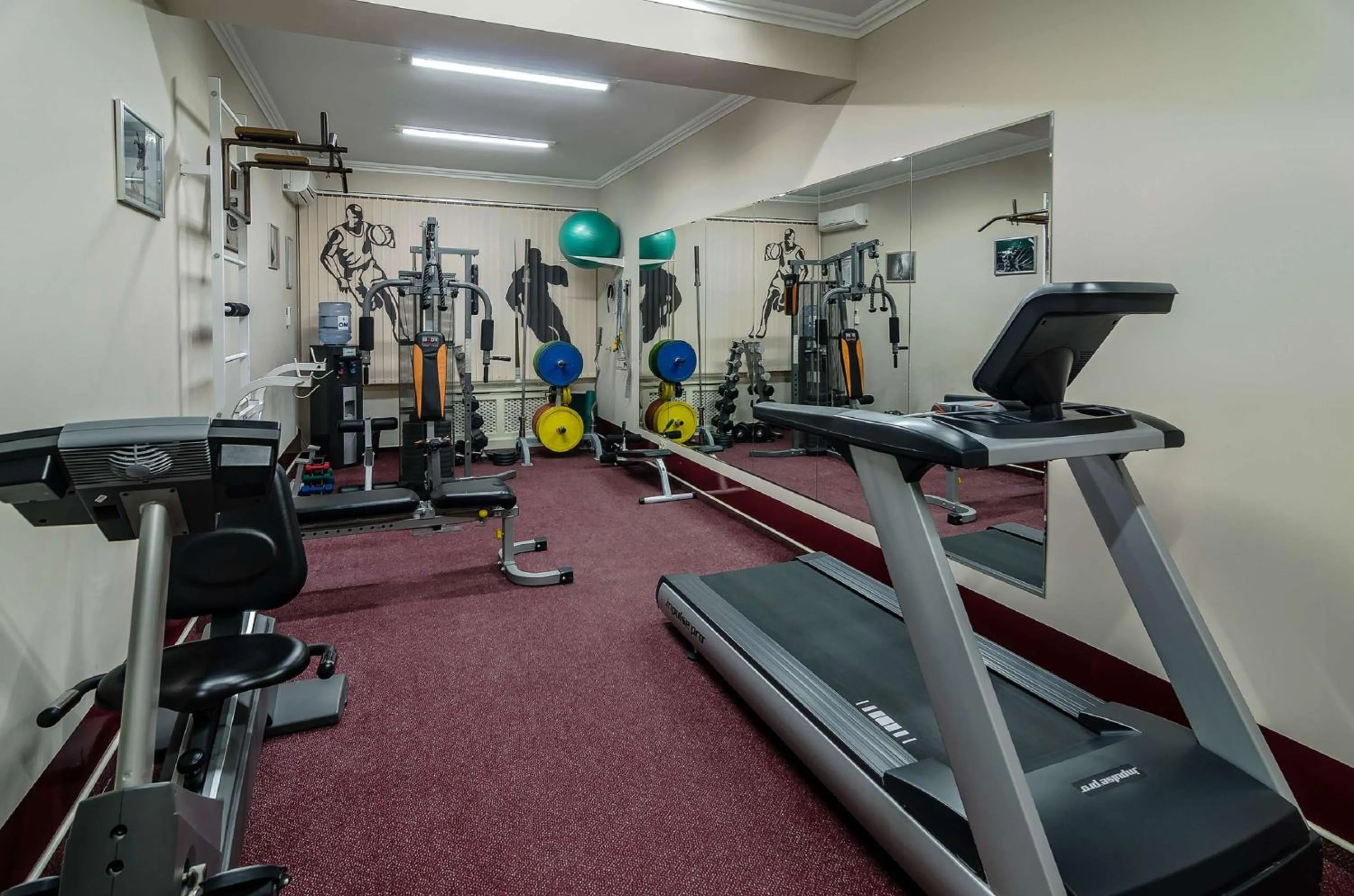Fitness centre/facilities in Flowers Hotel