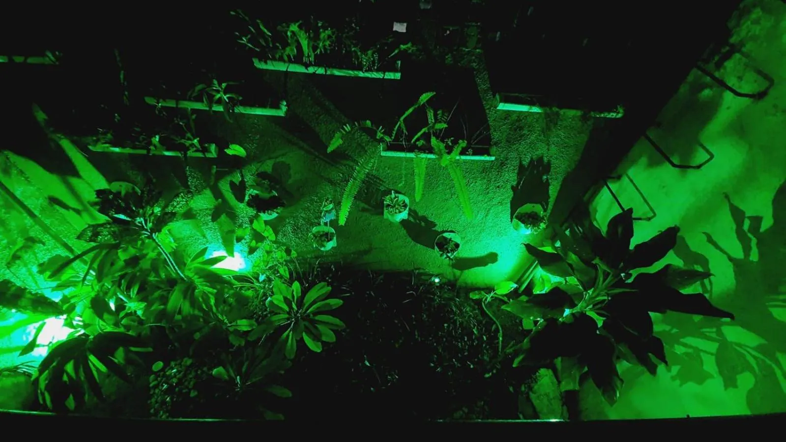 Pousada Pedras do Porto