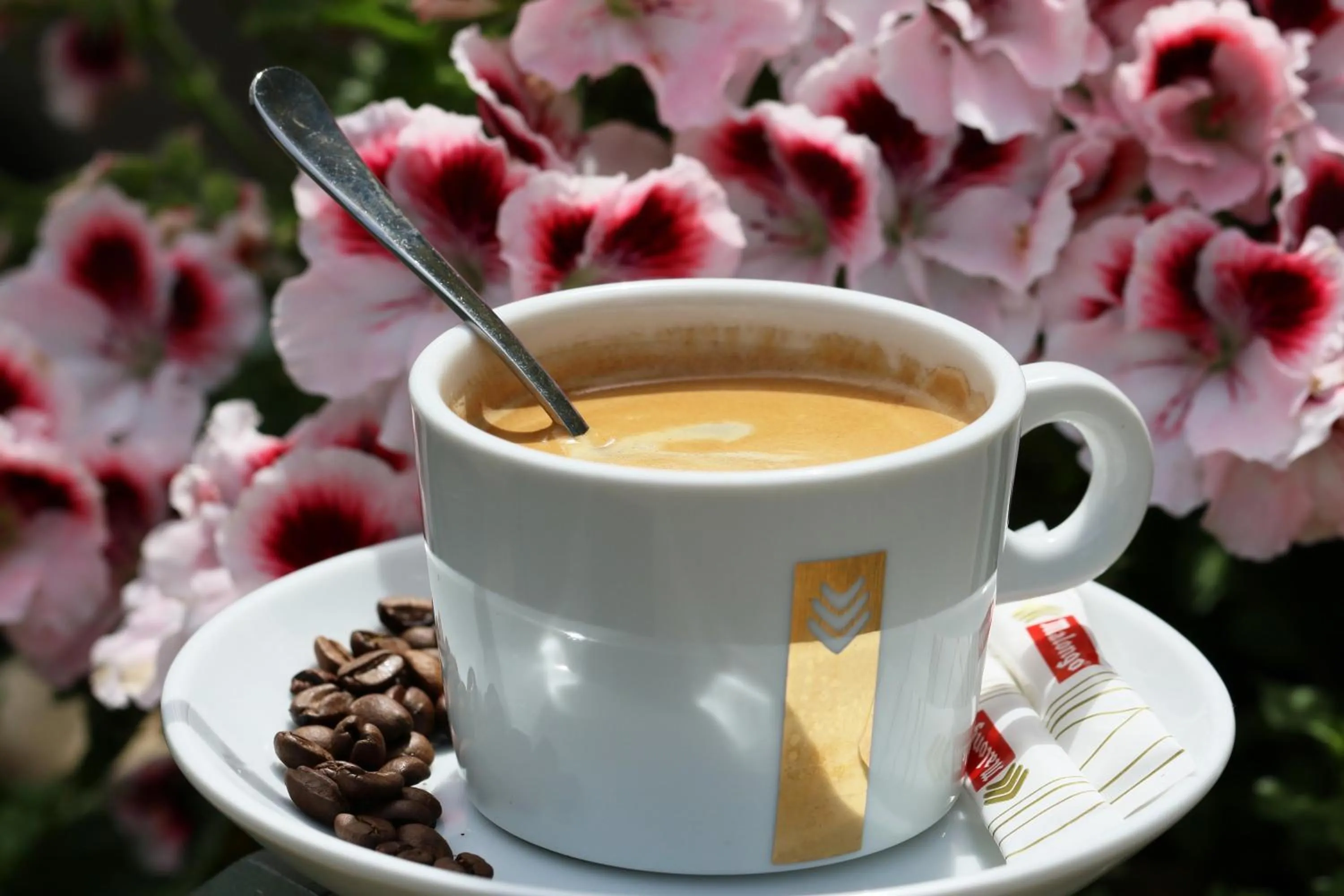 Food and drinks in Funtana a l'Ora