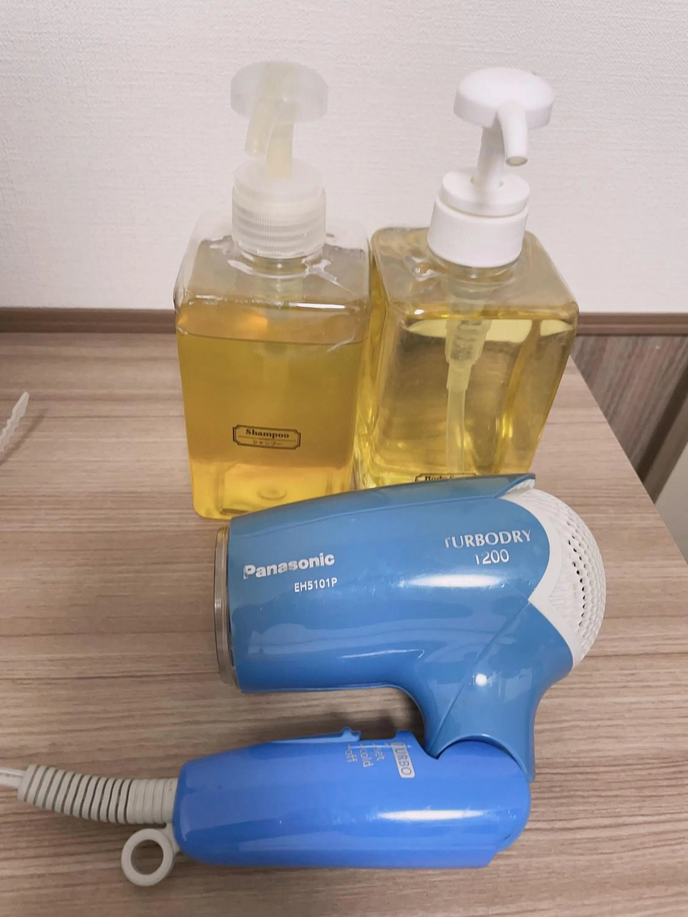 hair dryier in Chang Tee Hotel Ikebukuro