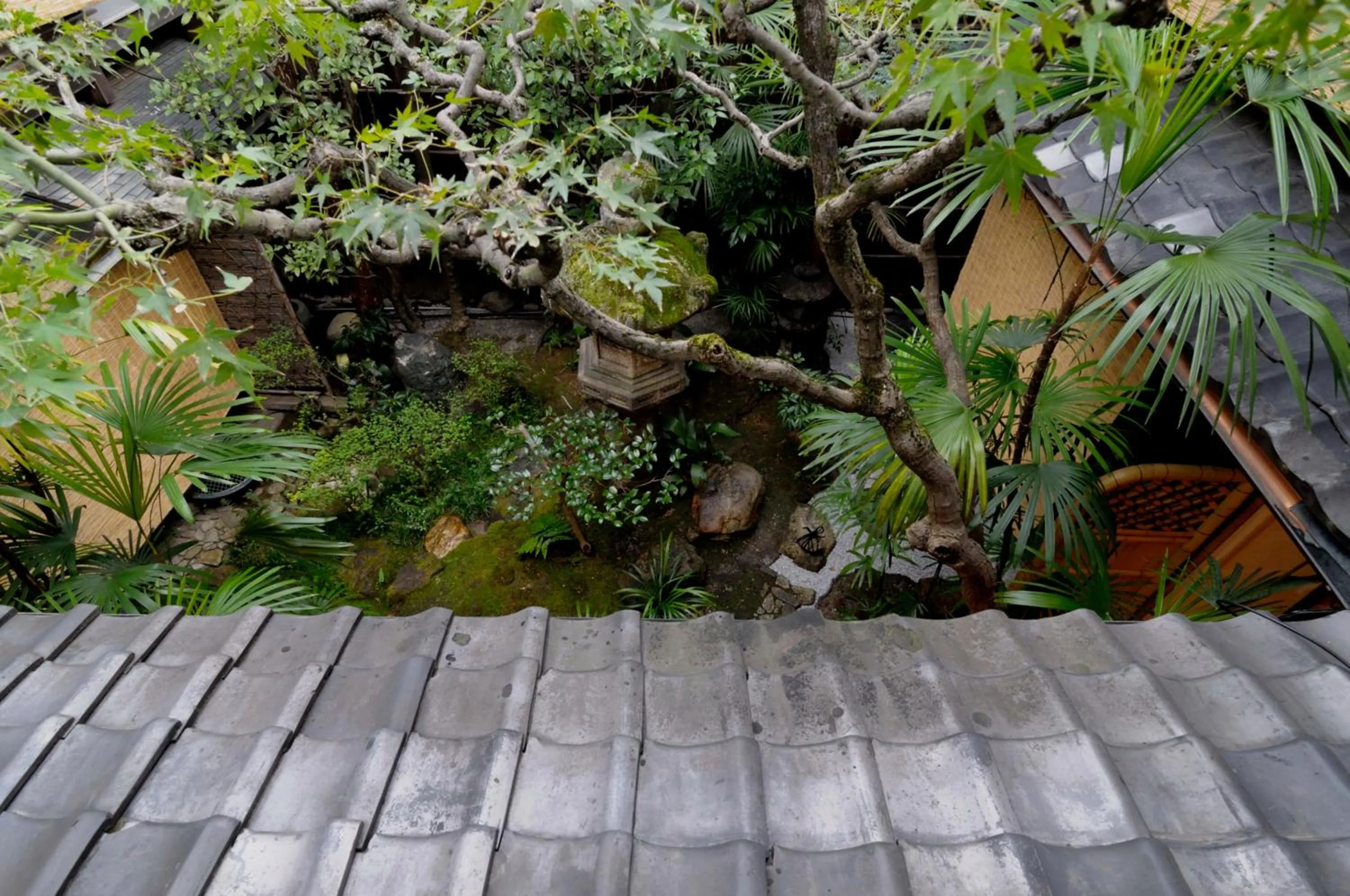 Garden in IZUYASU Traditional Kyoto Inn serving Kyoto cuisine