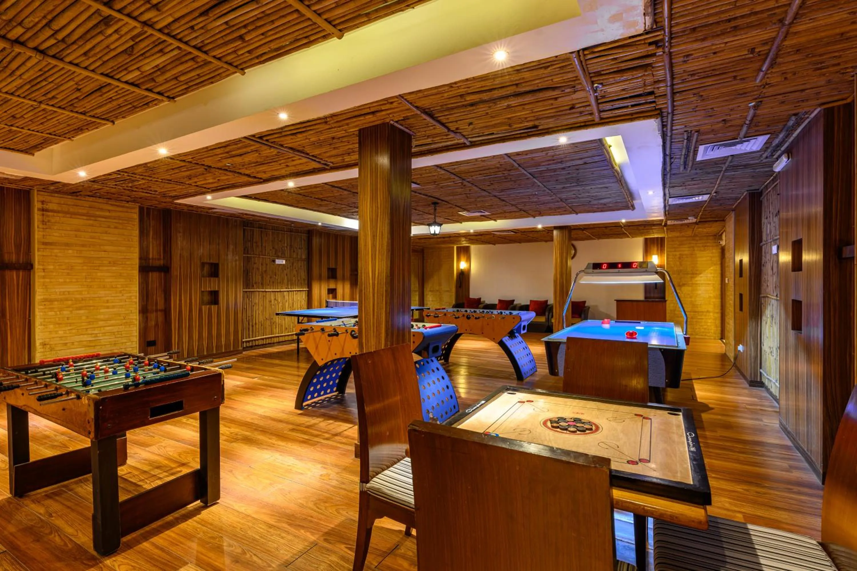 Game Room in Ananta Spa & Resort, Pushkar