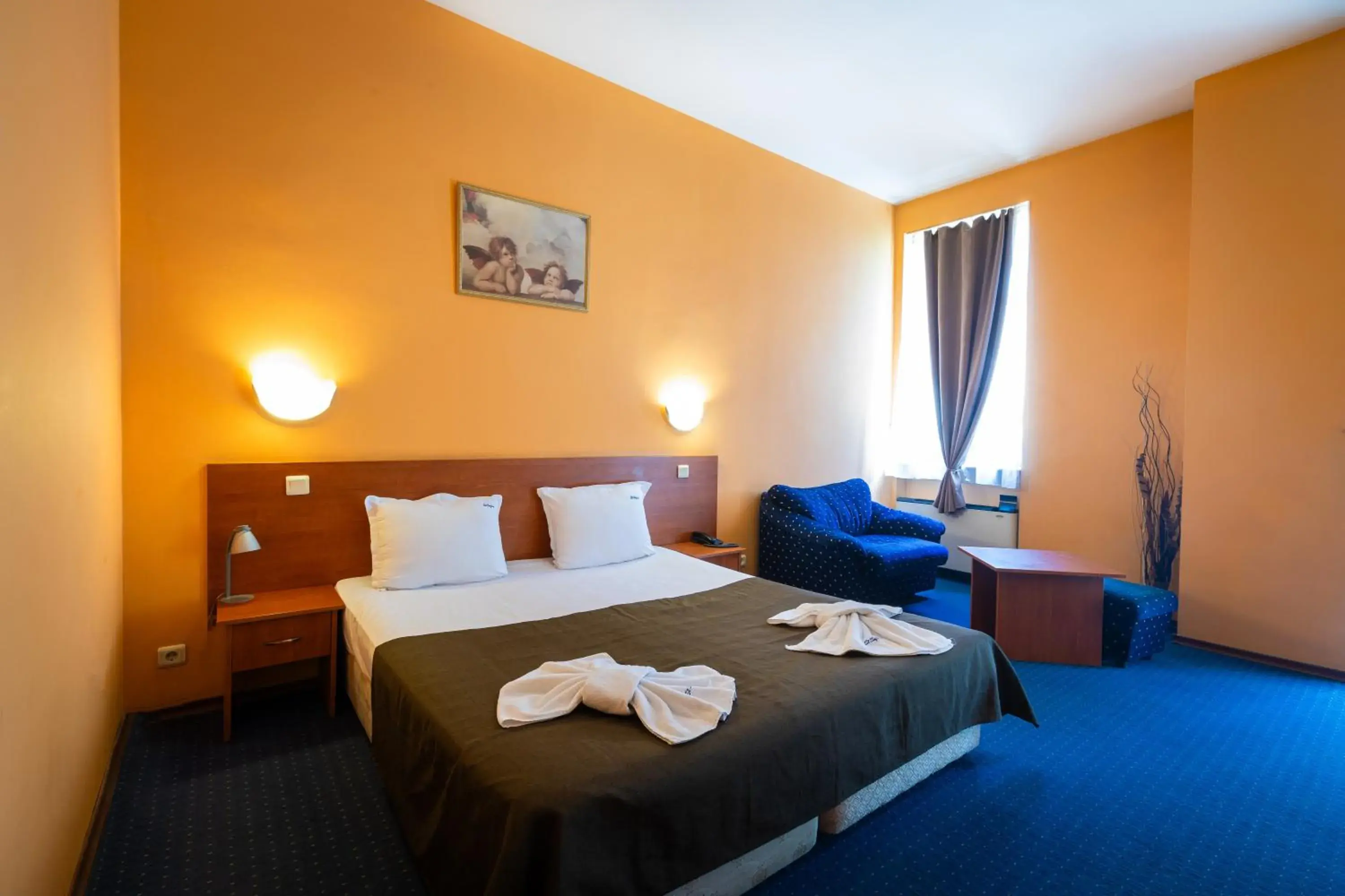 Deluxe Double Room in Sveta Sofia Hotel Deluxe Double Room in Sveta Sofia Hotel