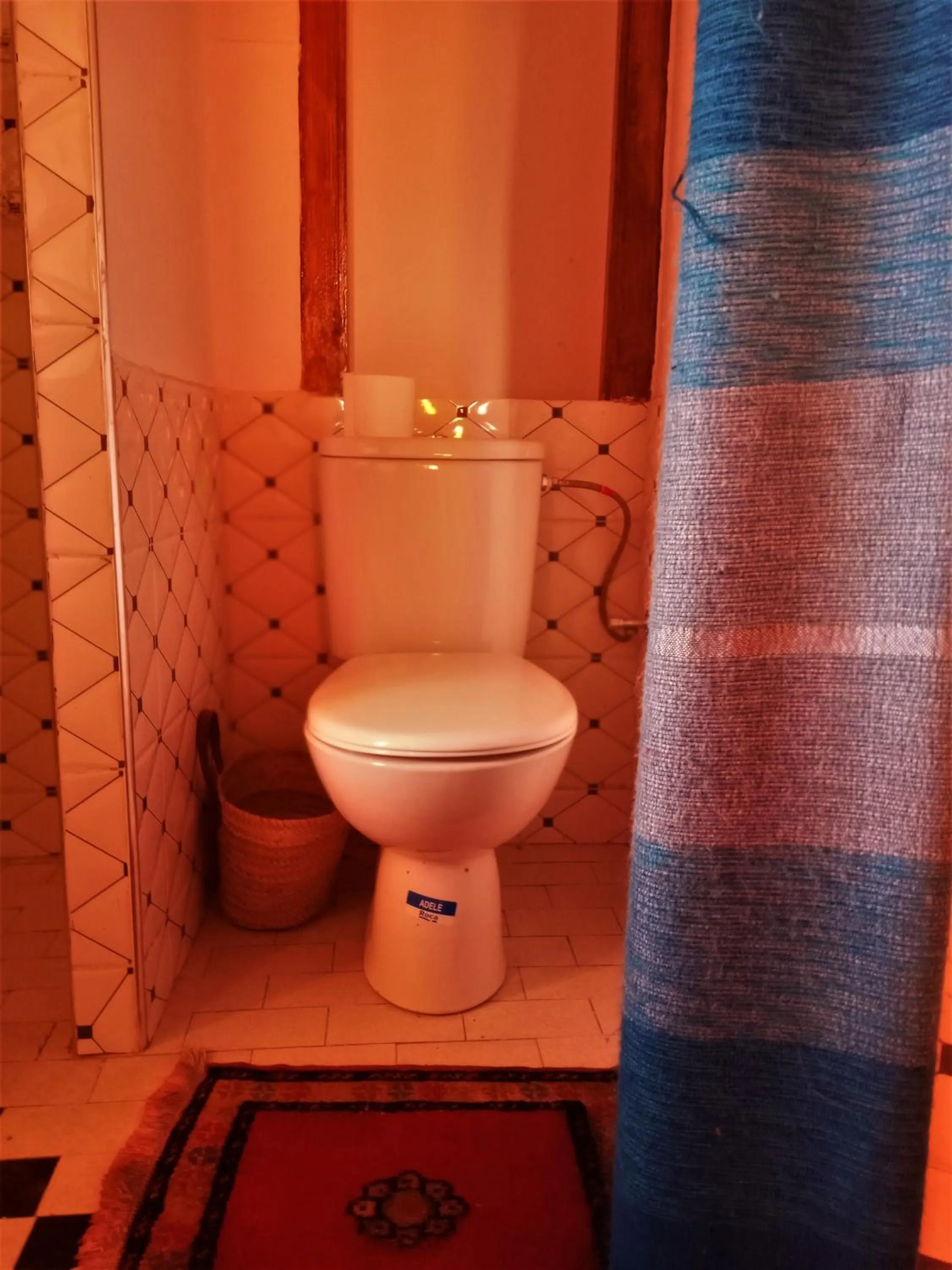Toilet in Riad Bleu Afriqua