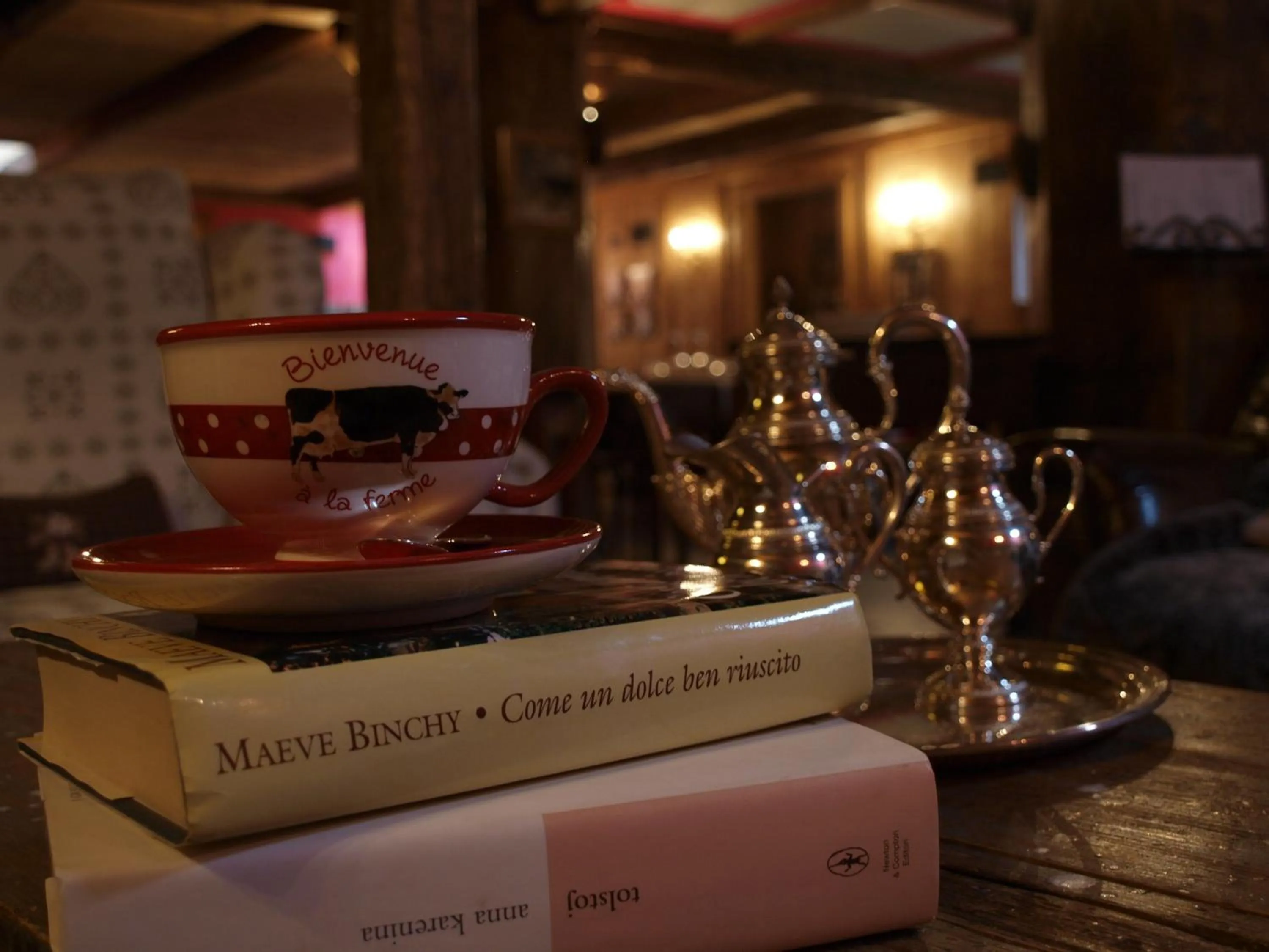 Library in Hotel Letterario Locanda Collomb
