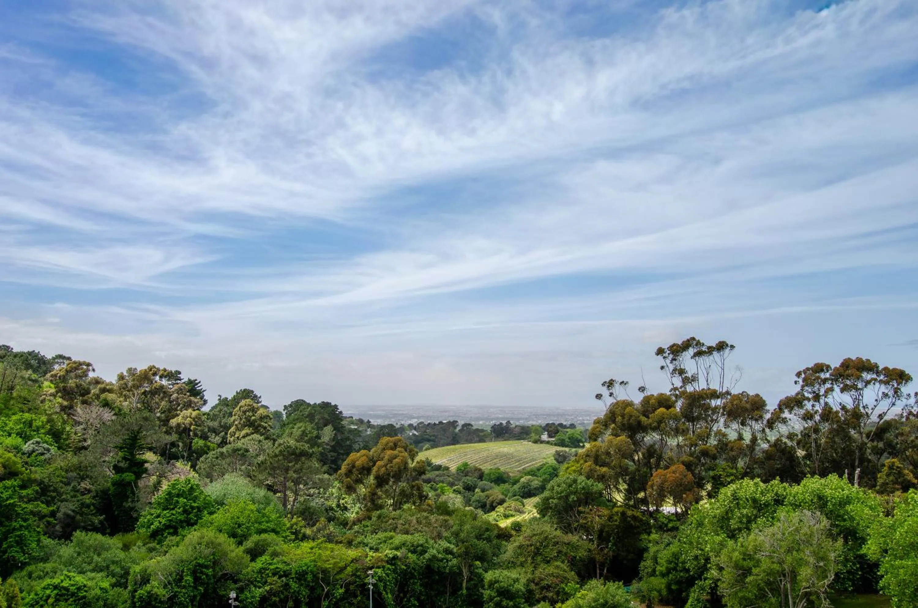 Spring in Ikhaya Safari Lodge