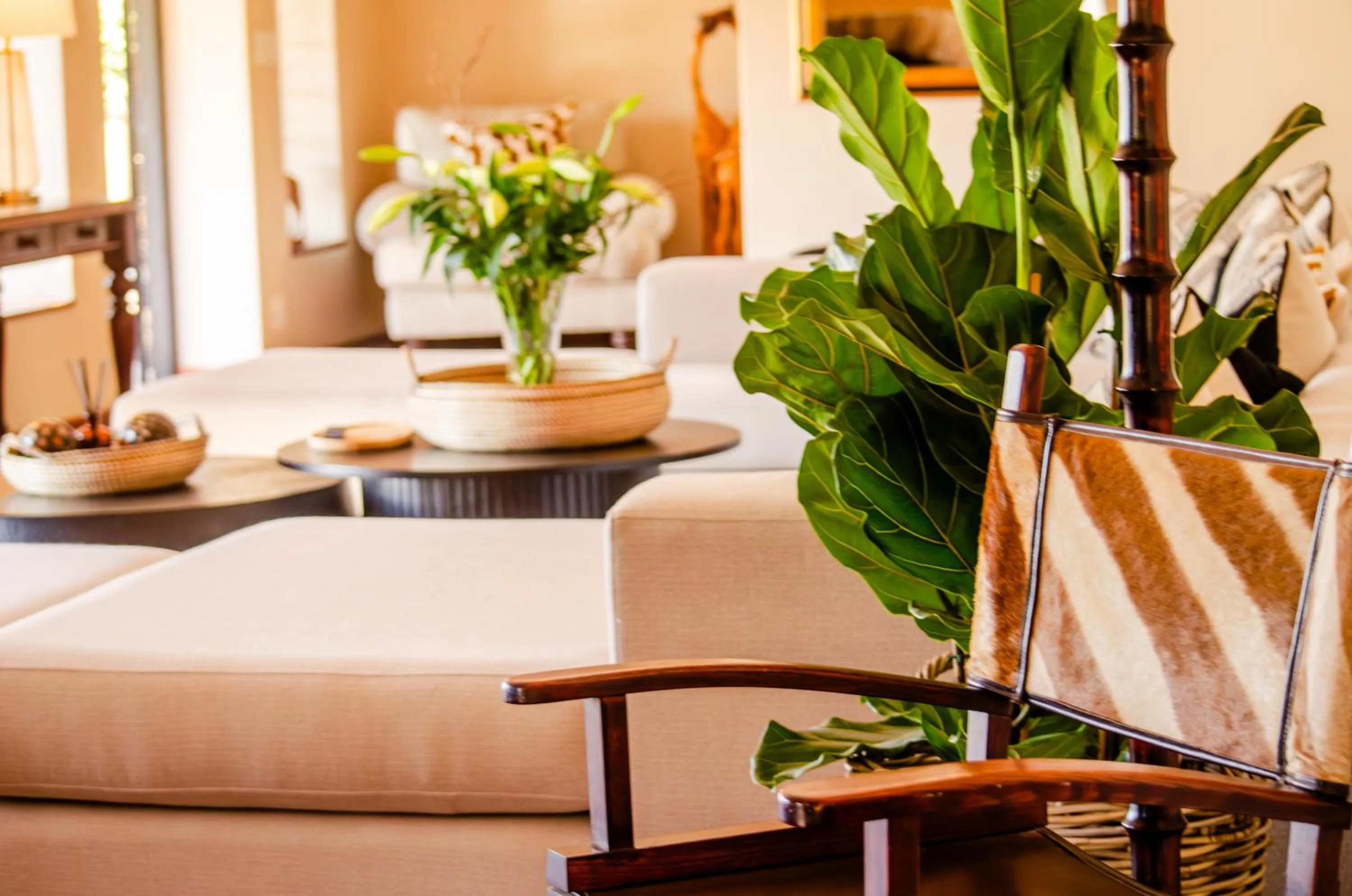 Communal lounge/ TV room, Bed in Ikhaya Safari Lodge