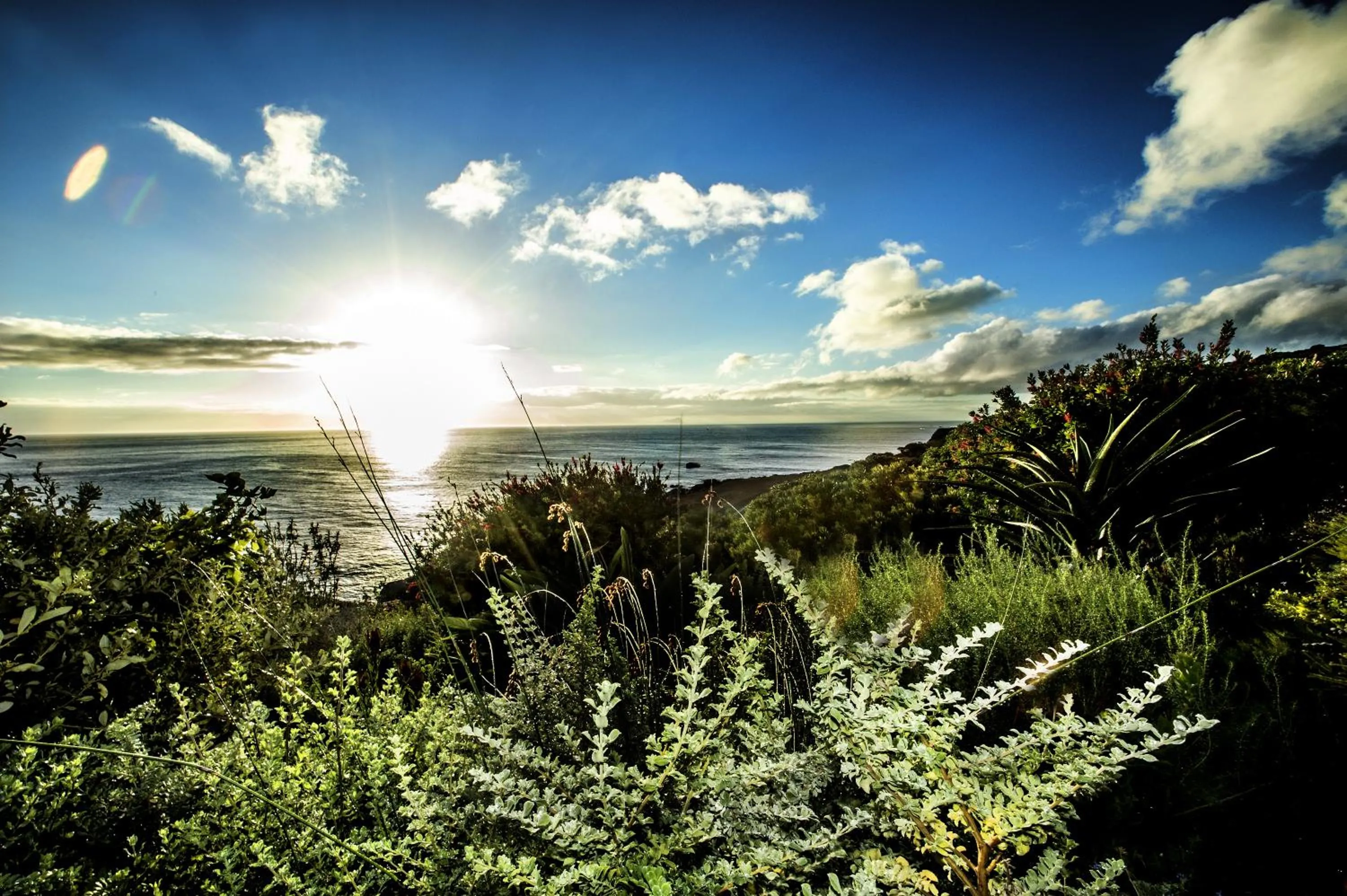 View (from property/room) in Rocklands Seaside Bed and Breakfast