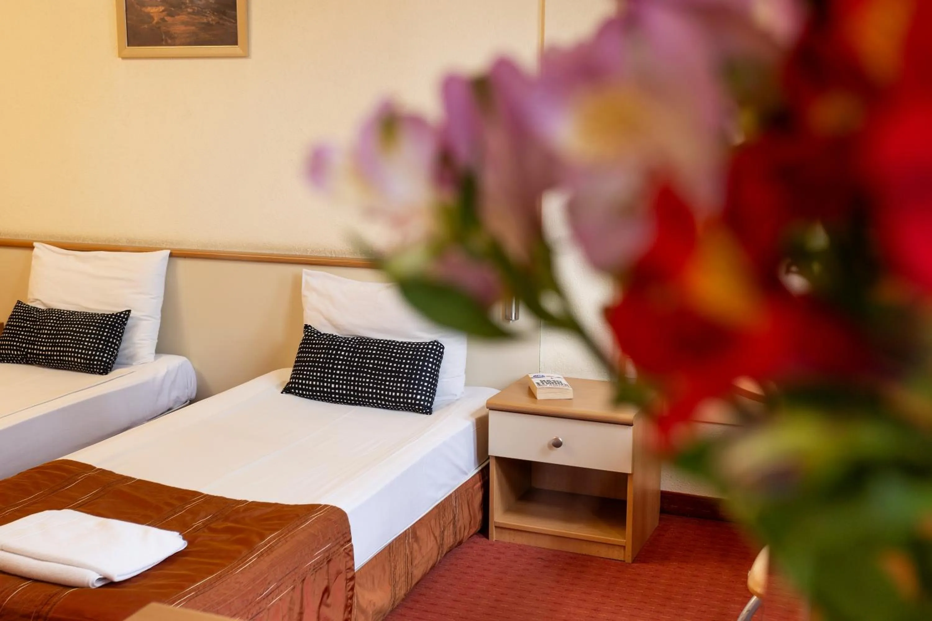 Hotel Brod - Free Parking