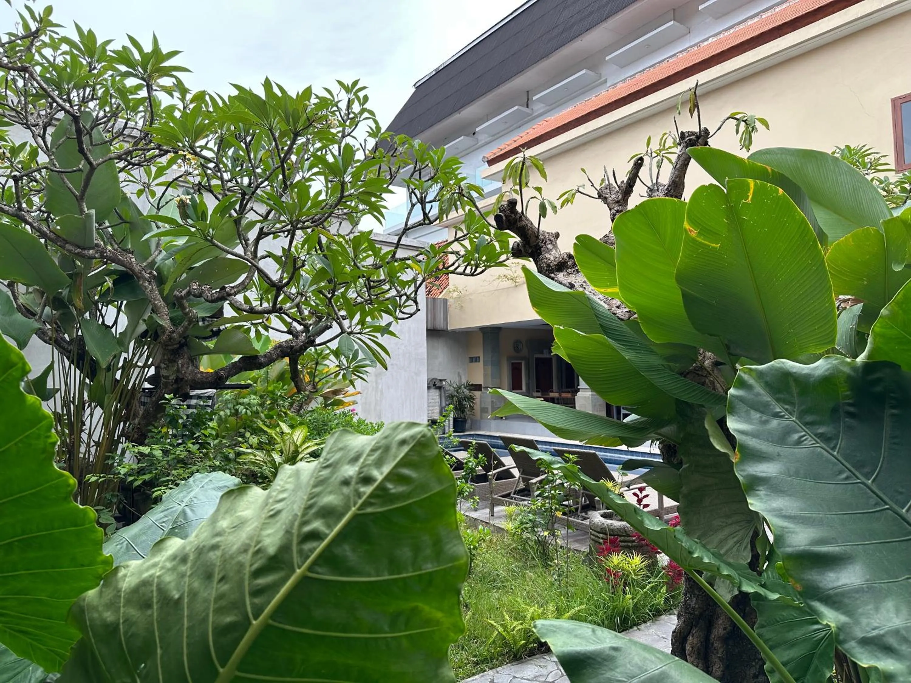 Garden in Villa Bunga Hotel