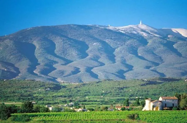 Area and facilities in Logis Hôtel Restaurant Les Géraniums