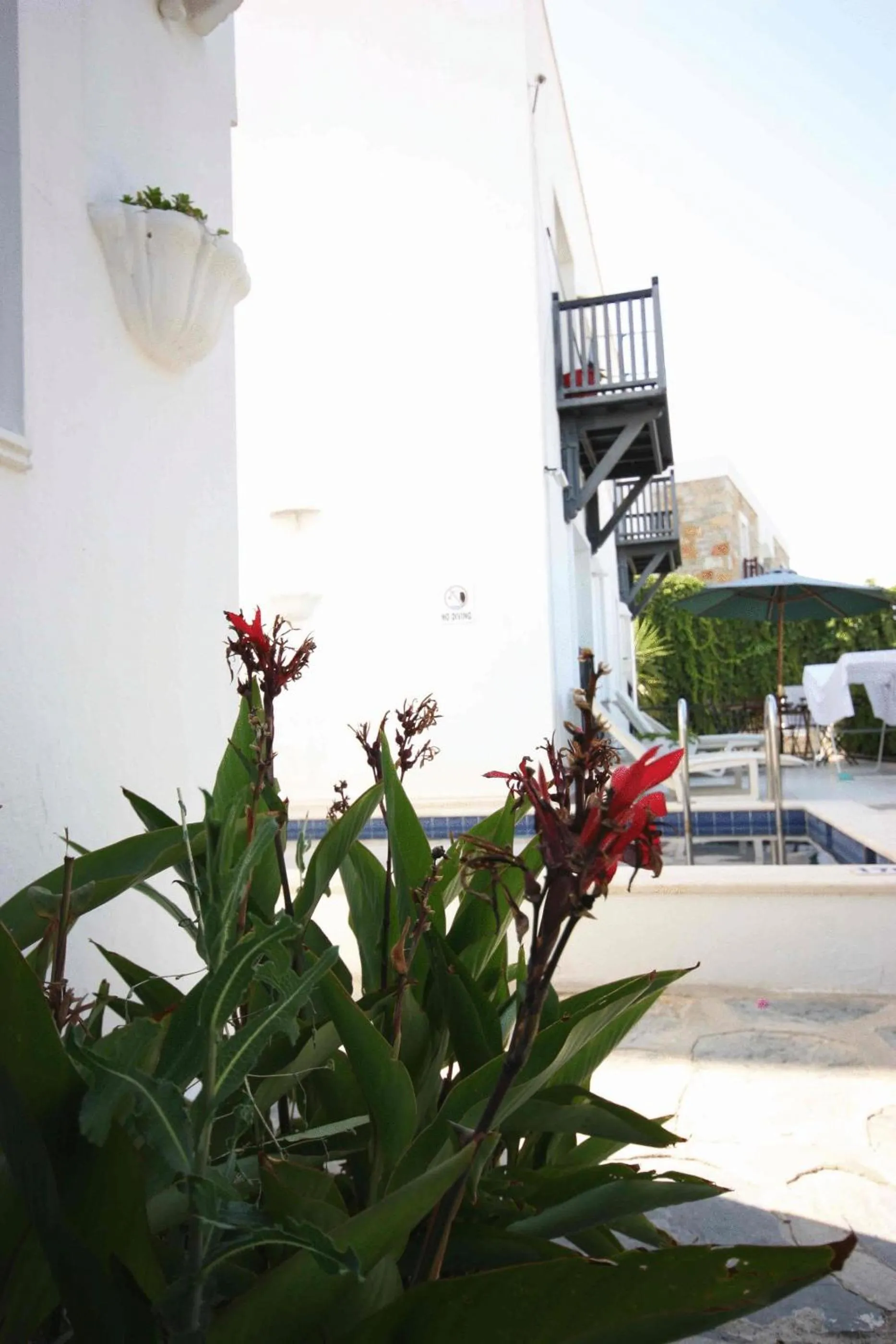 Property building in Emelce Apart