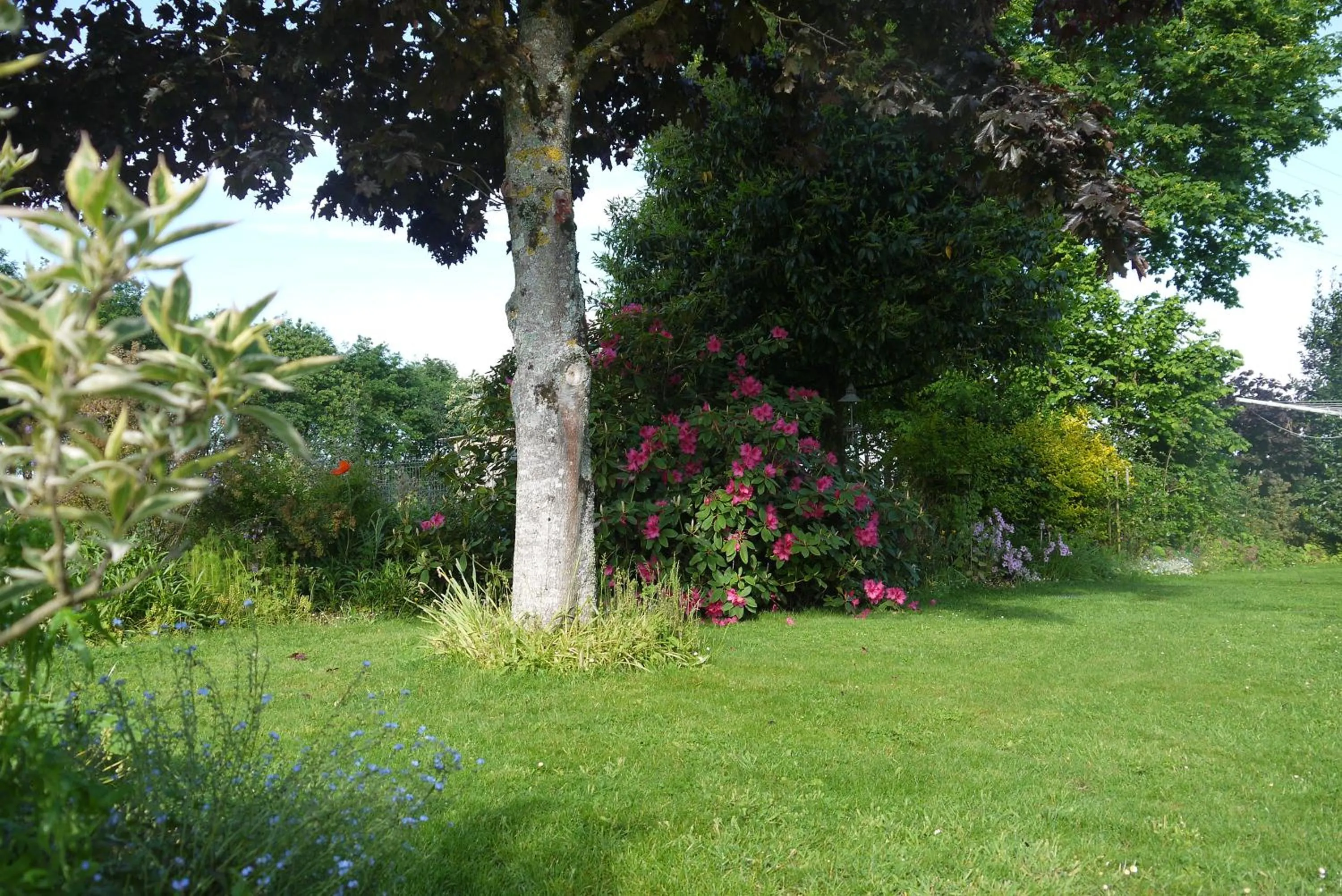 Garden in Ch. d'hôtes de la Saliais