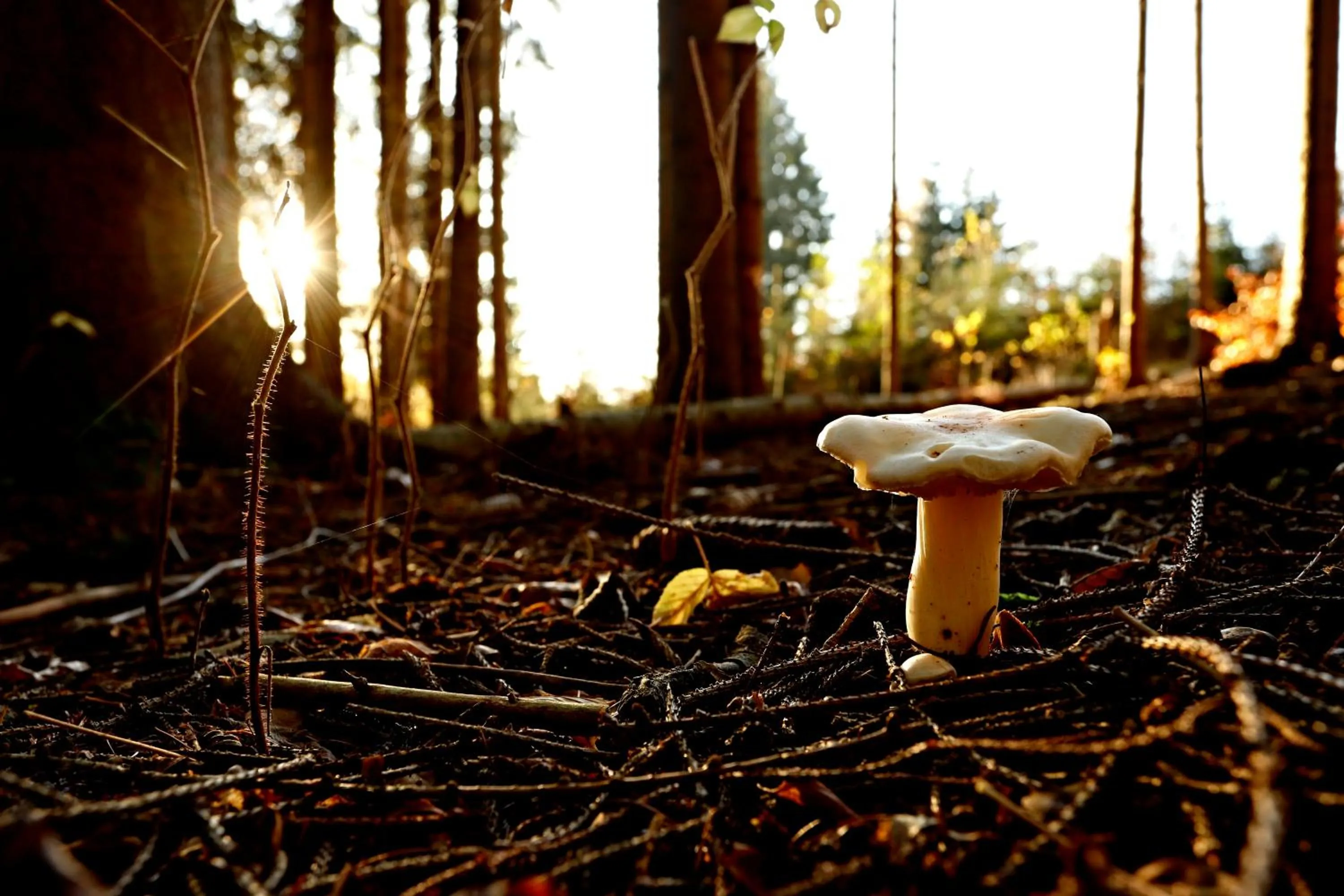 Off site in Apart Hotel Jablonec