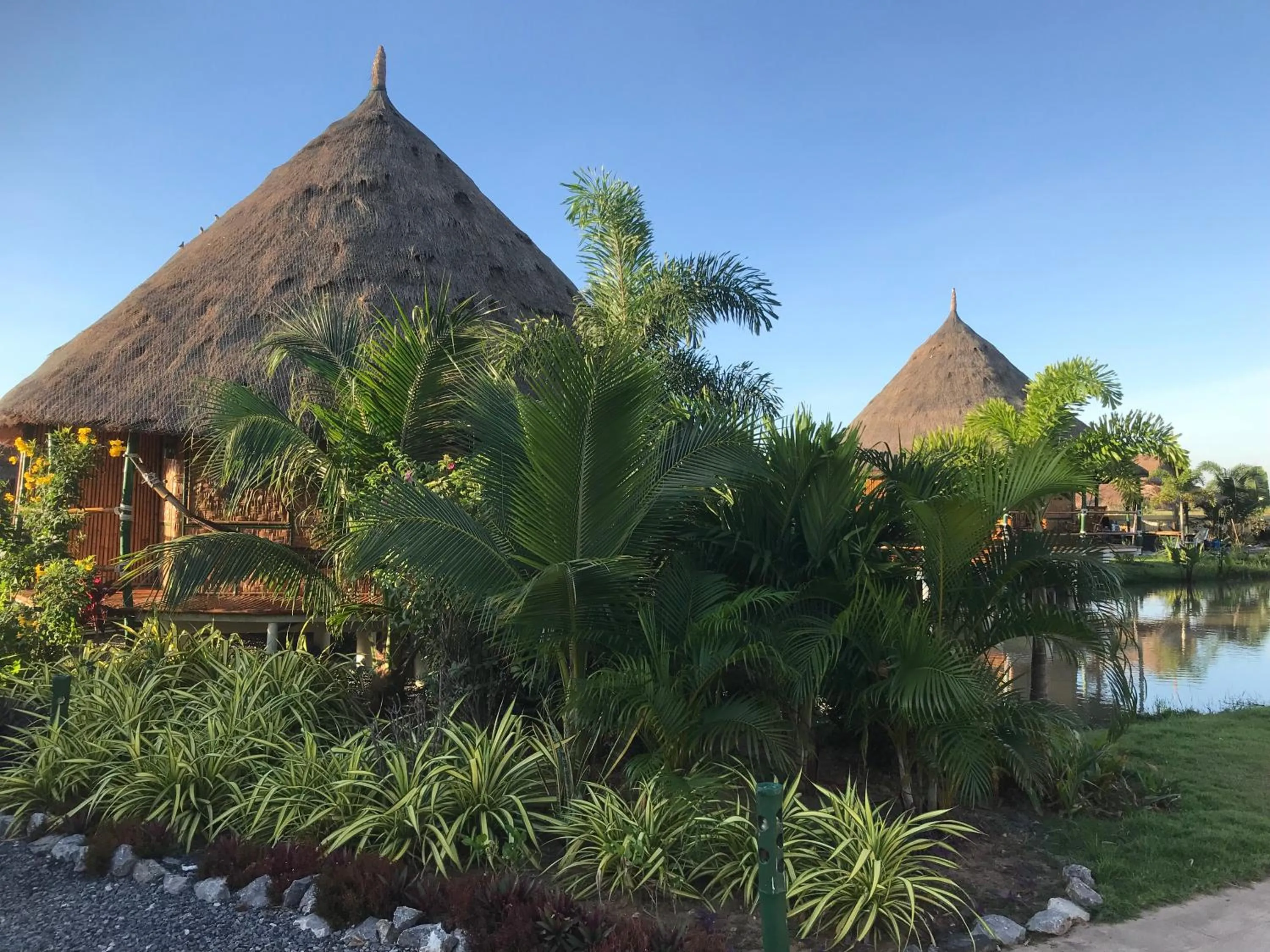 Garden view in The Orchid Resort & Relax