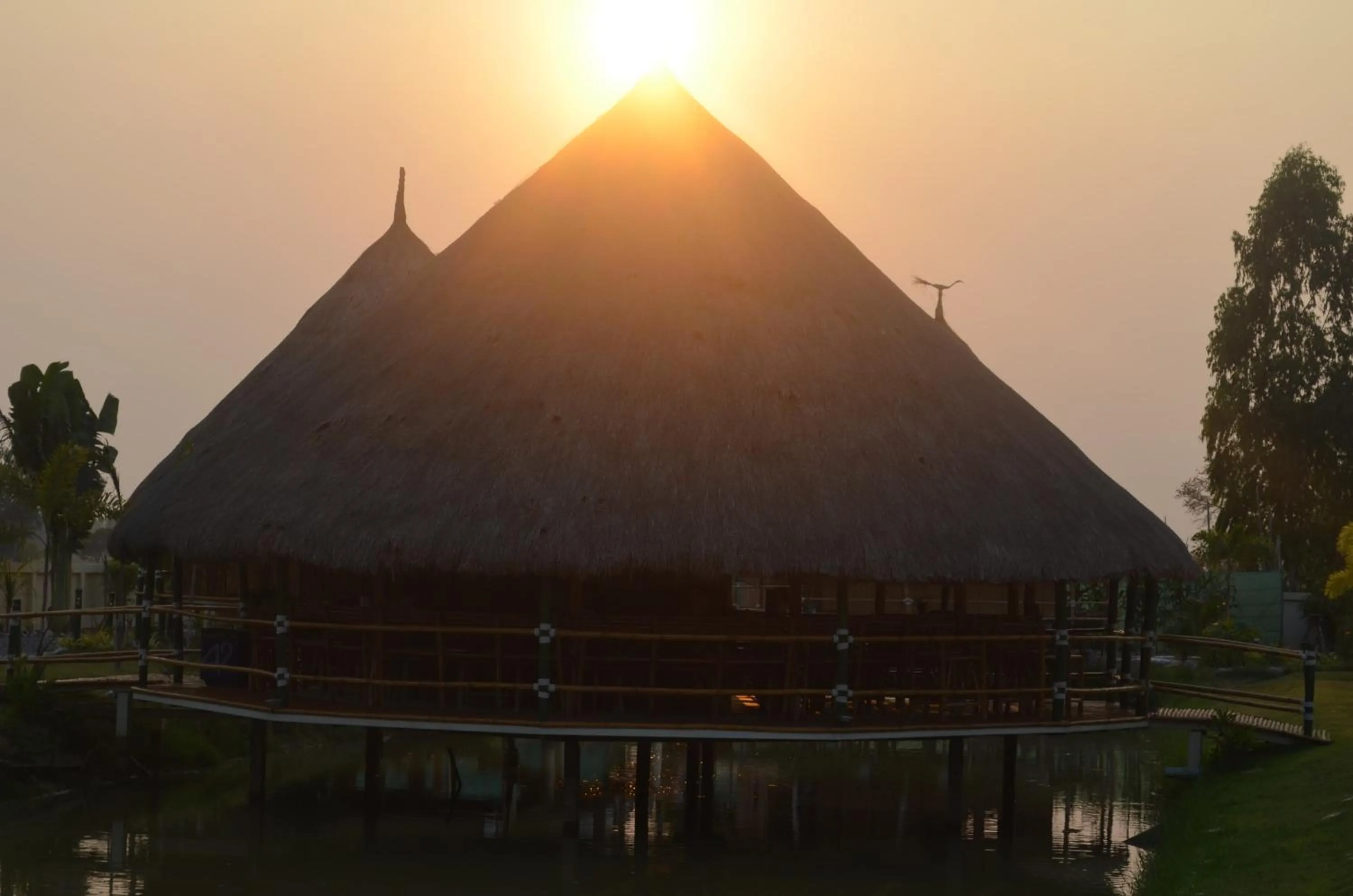 Restaurant/places to eat in The Orchid Resort & Relax