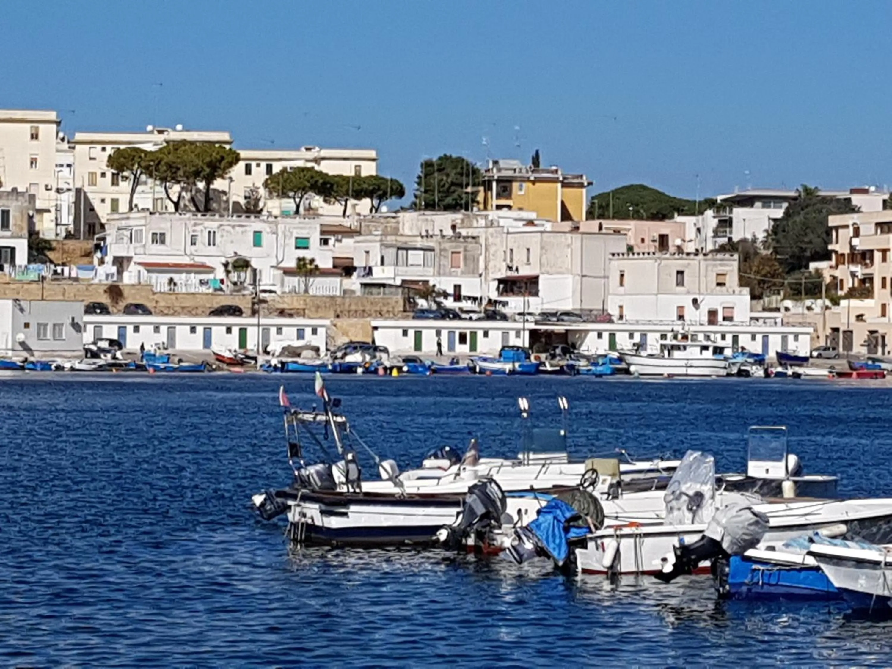 La nassa fitta camere