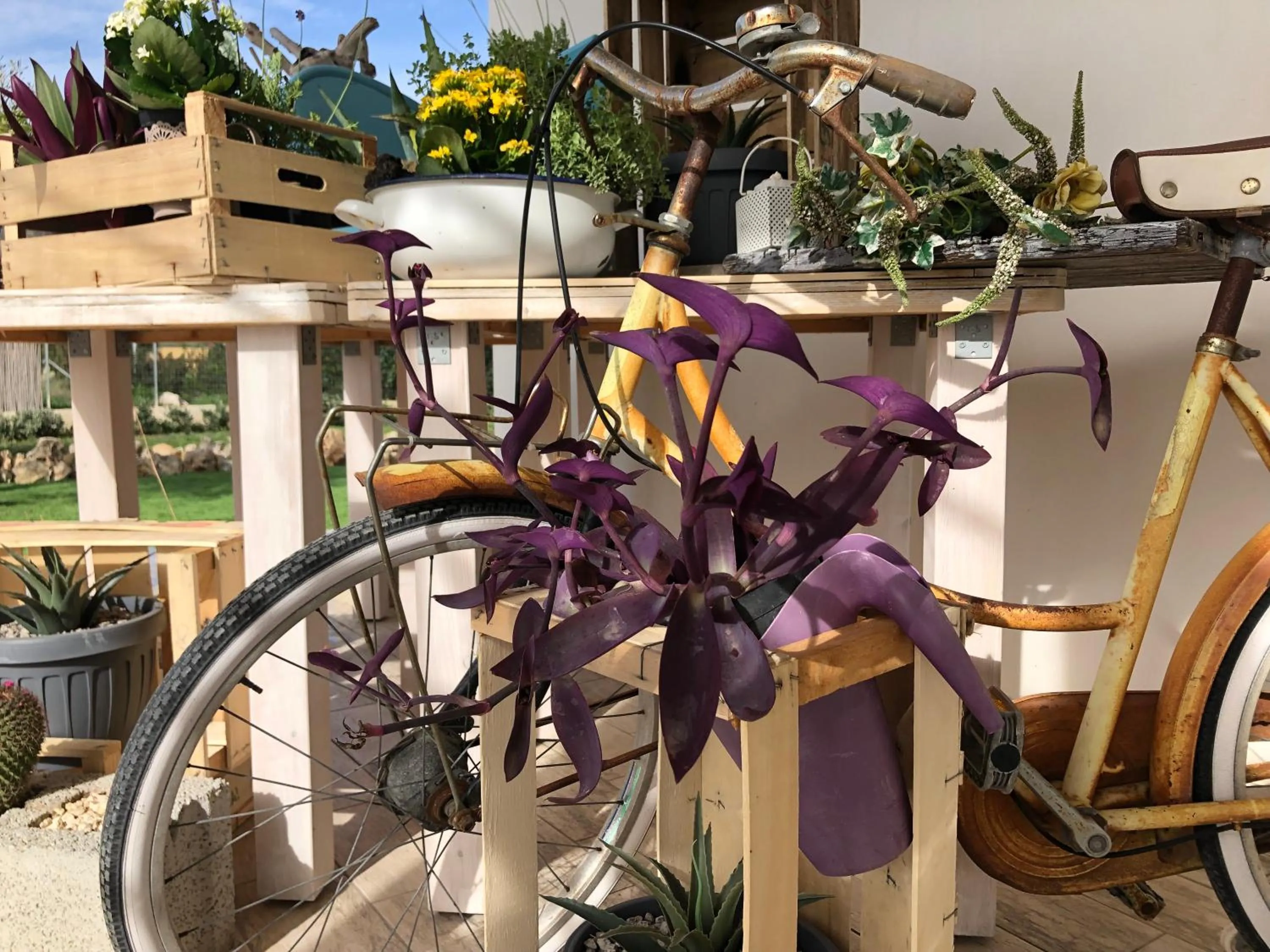 B&B Casa del Faro SanVallero Adults Only