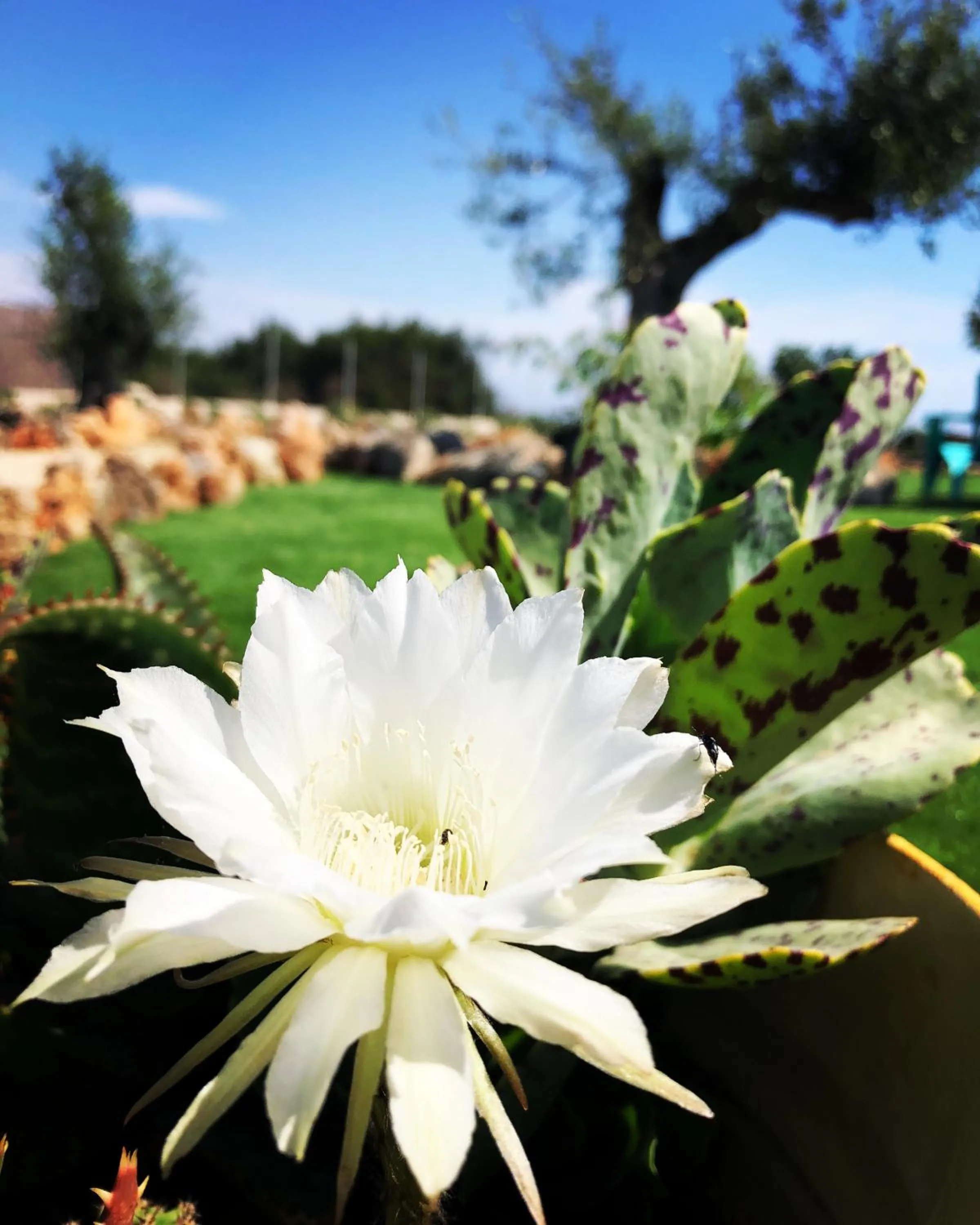 B&B Casa del Faro SanVallero Adults Only