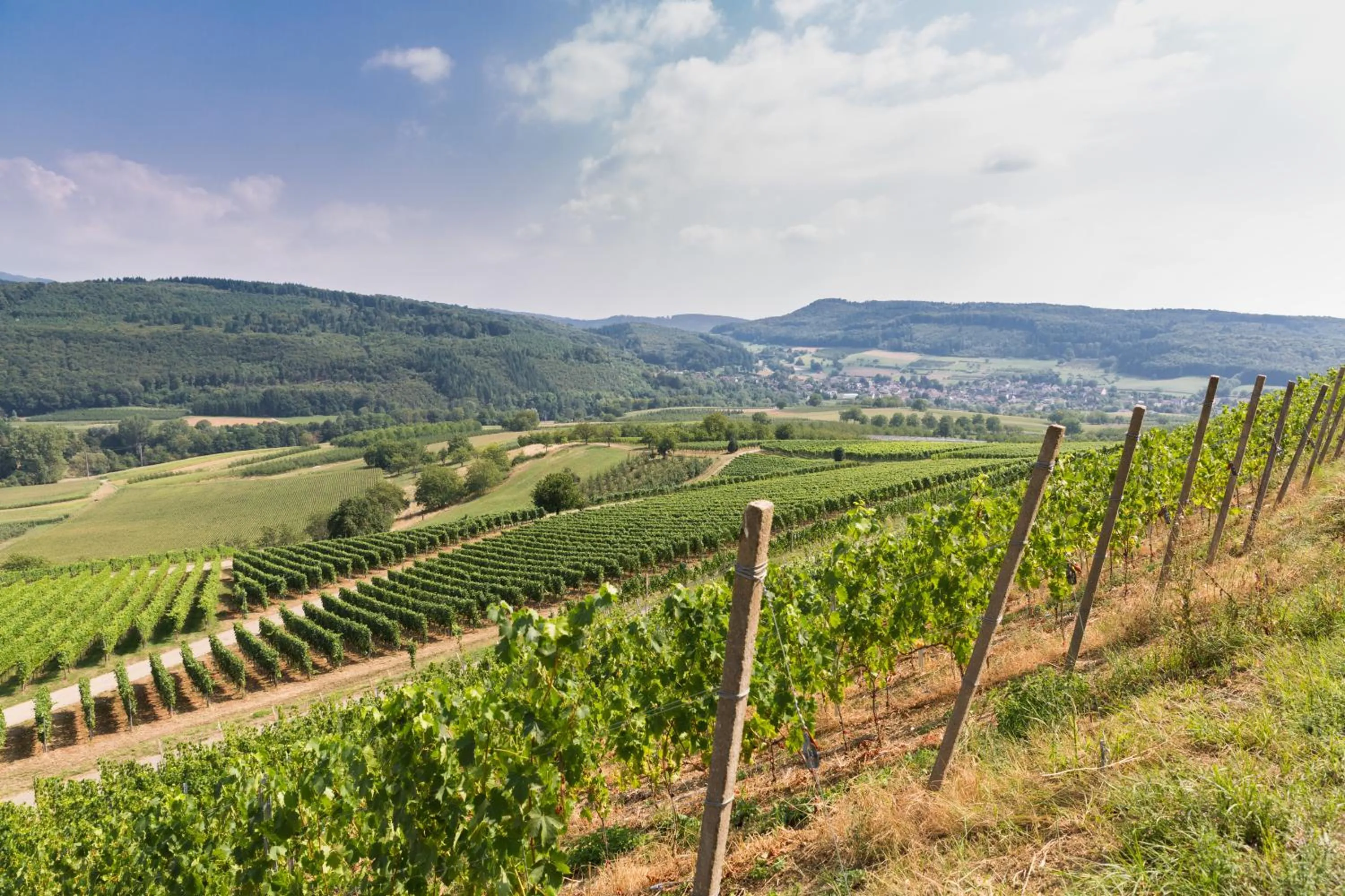 Spring in Kurhotel Markushof