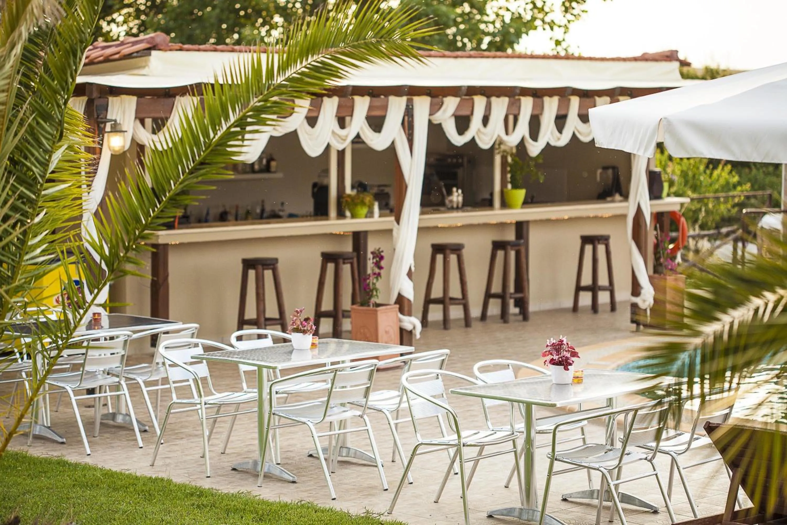 Lounge or bar in Sunny Hill