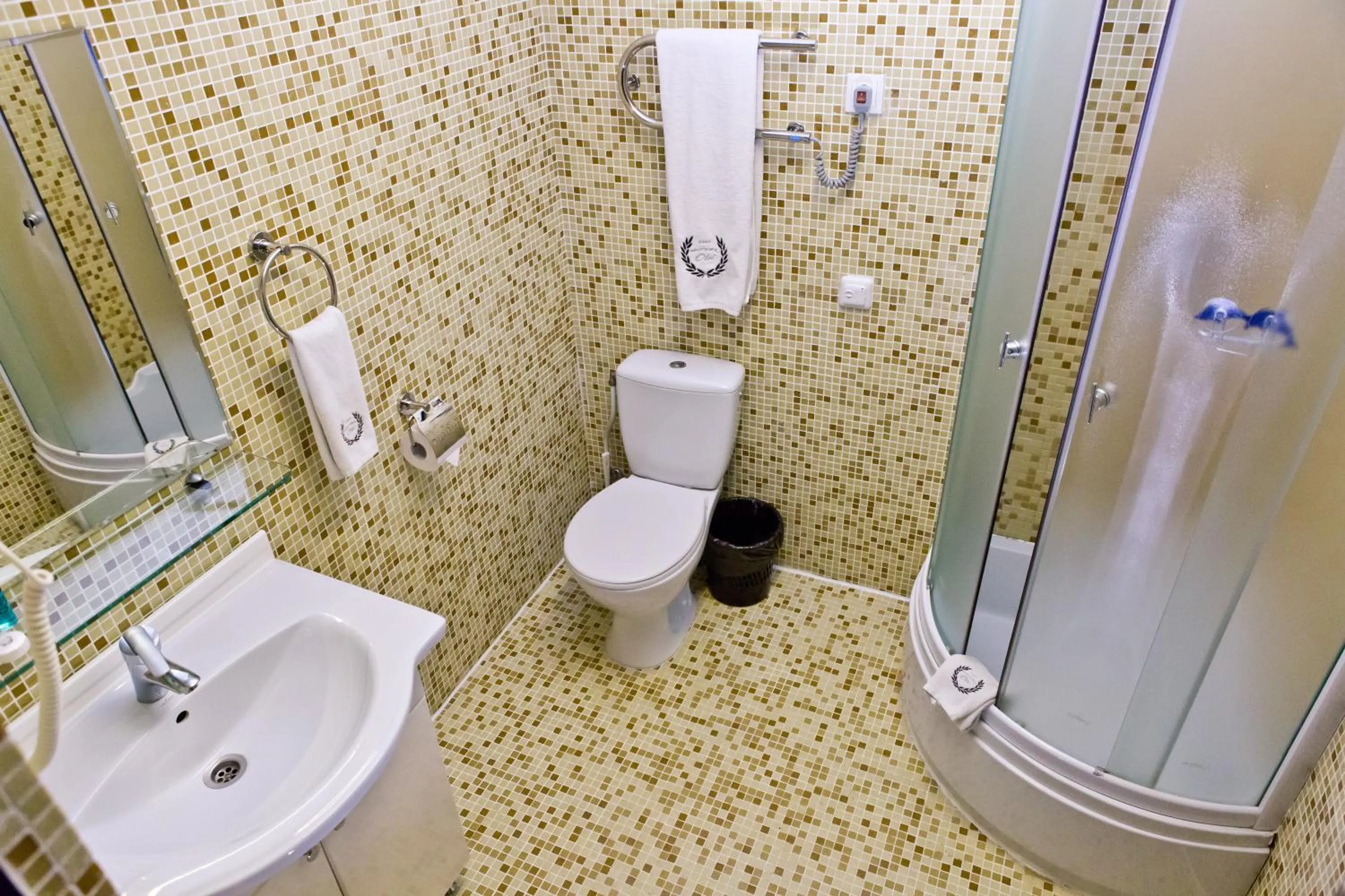 Shower in Hotel Olsi