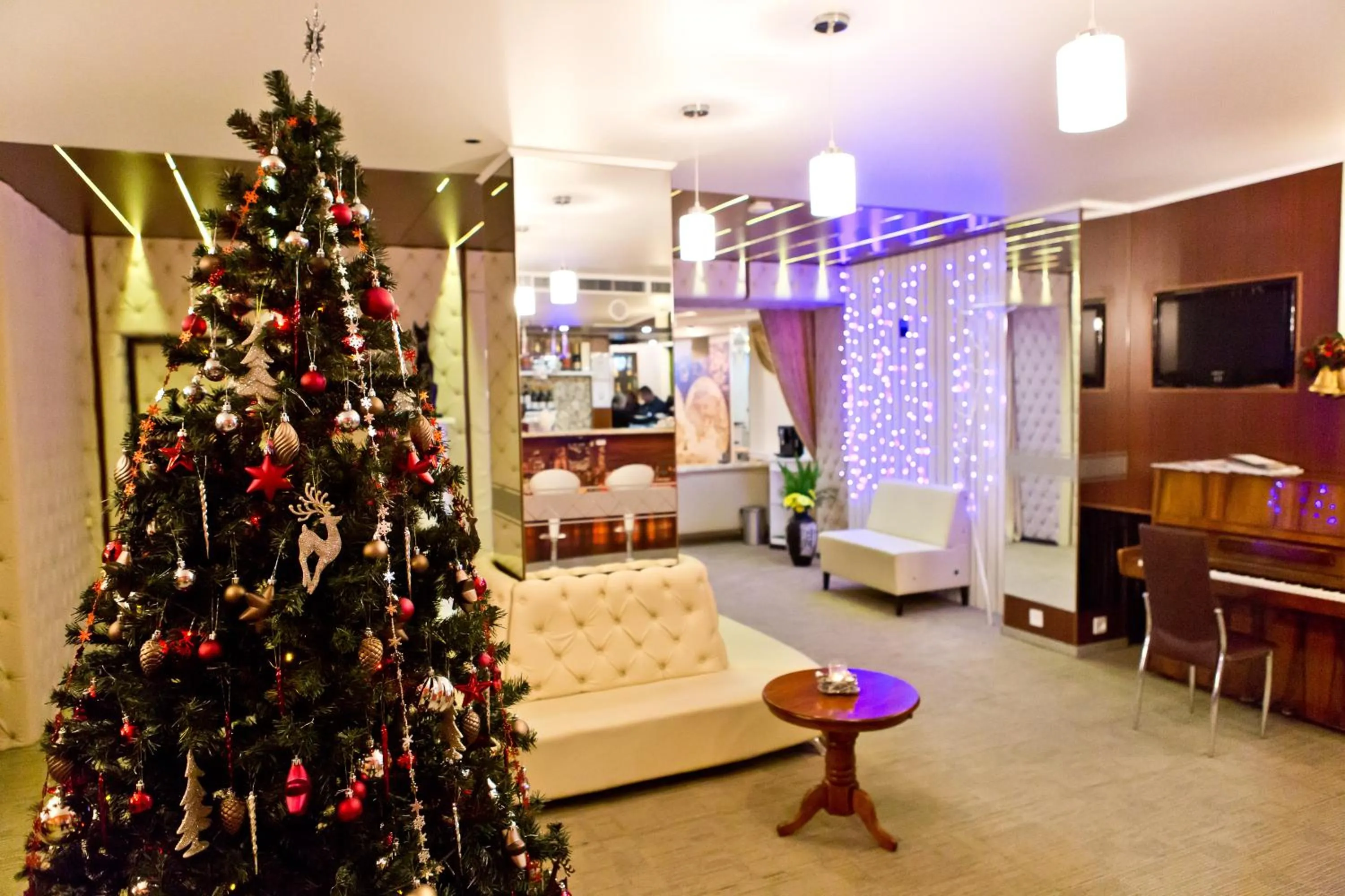 Communal lounge/ TV room in Hotel Olsi