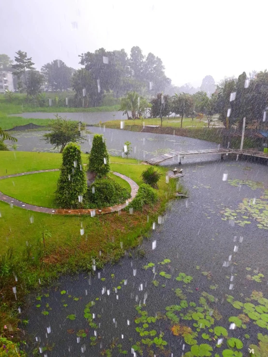 Property building in Korp View House