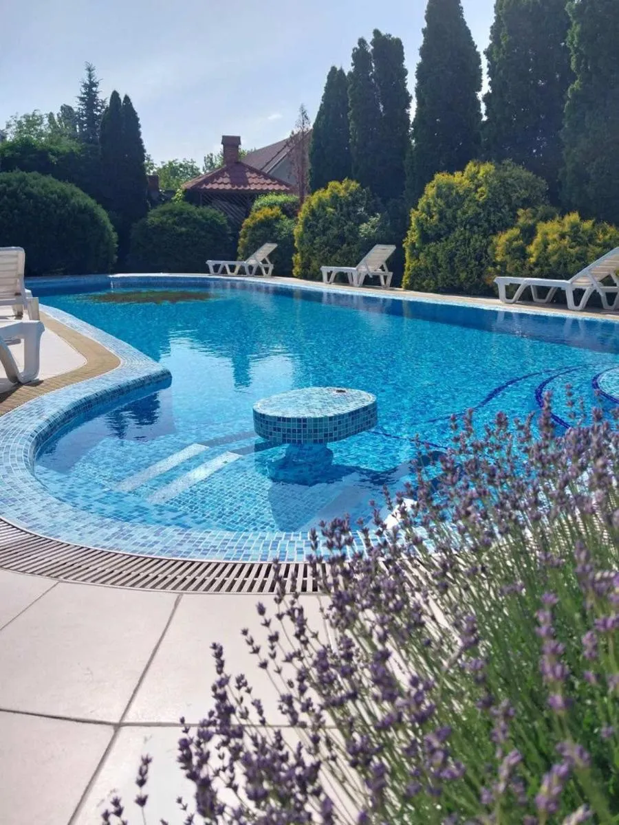 Swimming pool in Edem Hotel