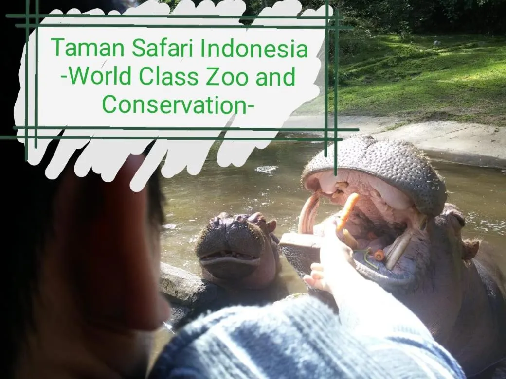 GIO Guesthouse Bogor