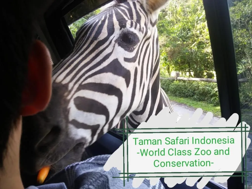 GIO Guesthouse Bogor