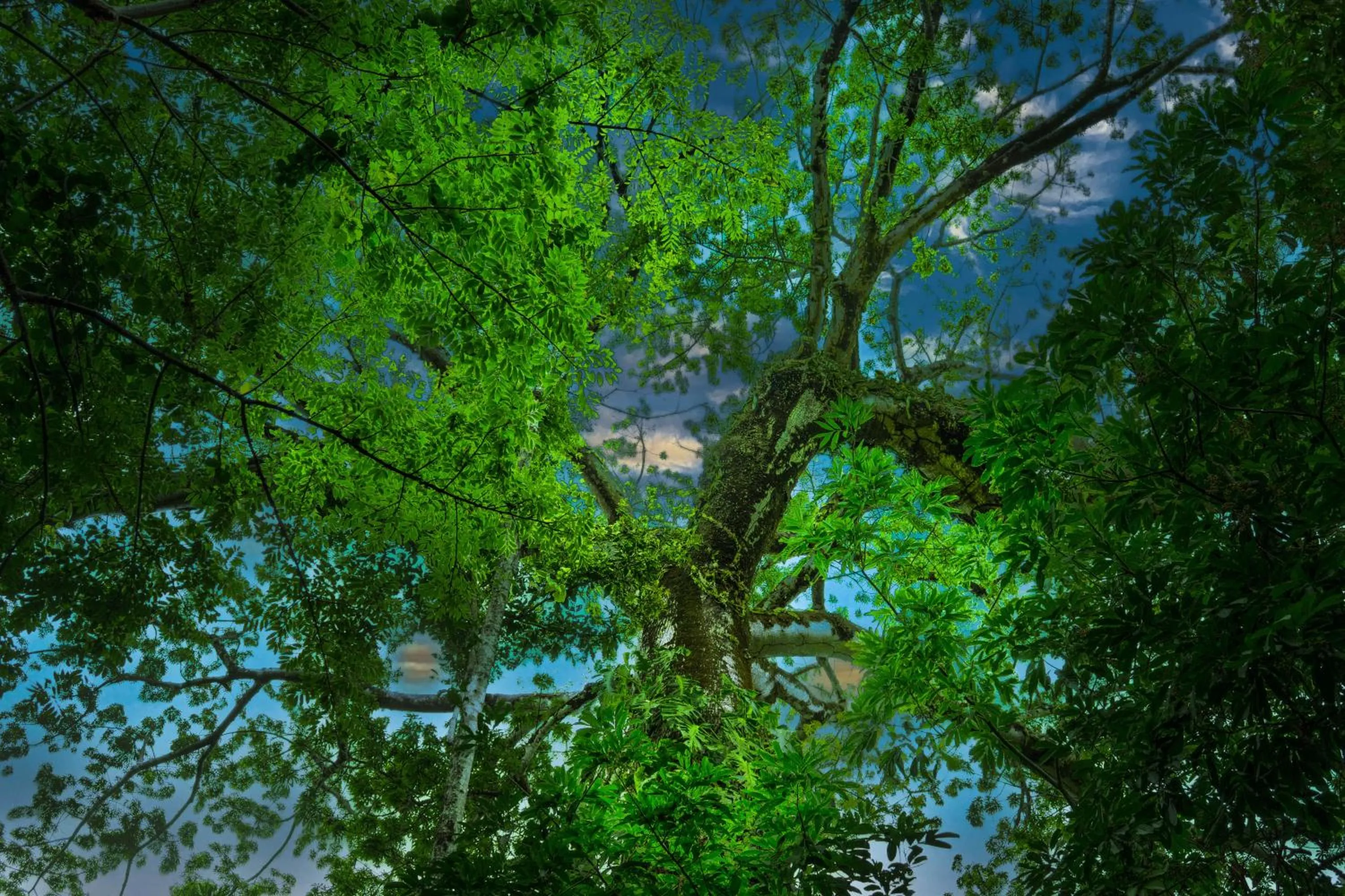 Natural landscape in Chan-Kah Resort Village