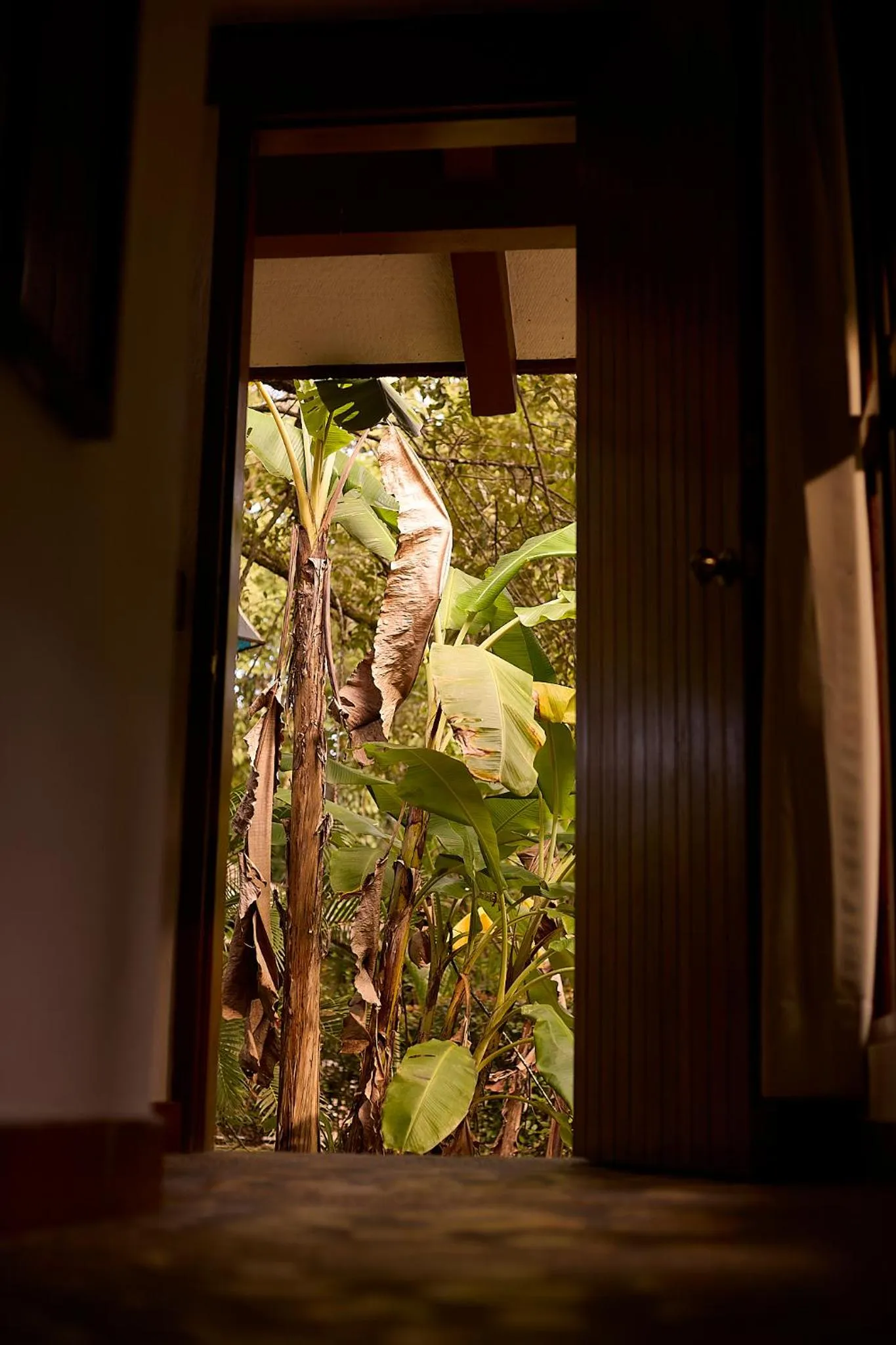 Garden view in Chan-Kah Resort Village