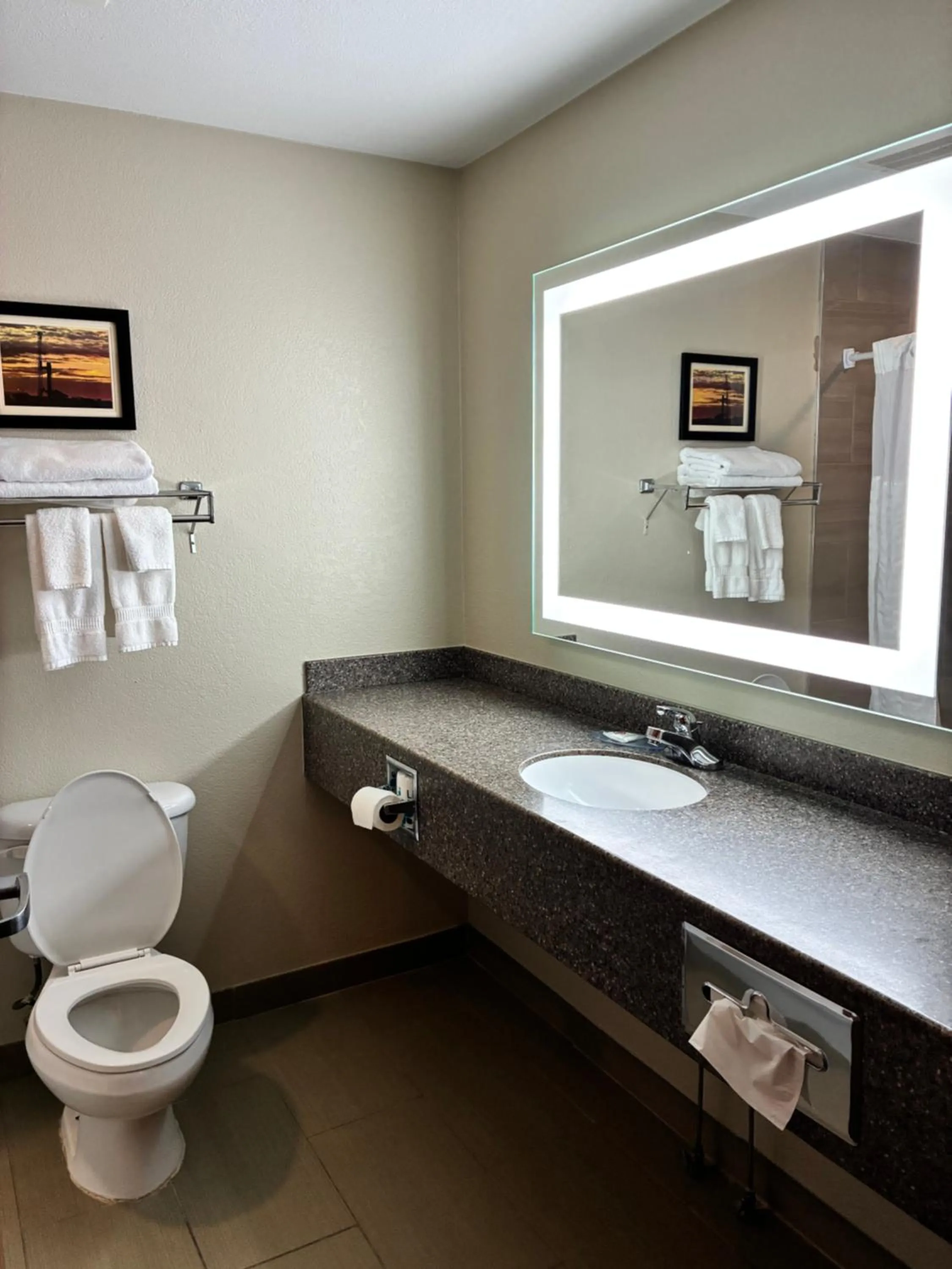 Toilet in Comfort Inn & Suites Sterling
