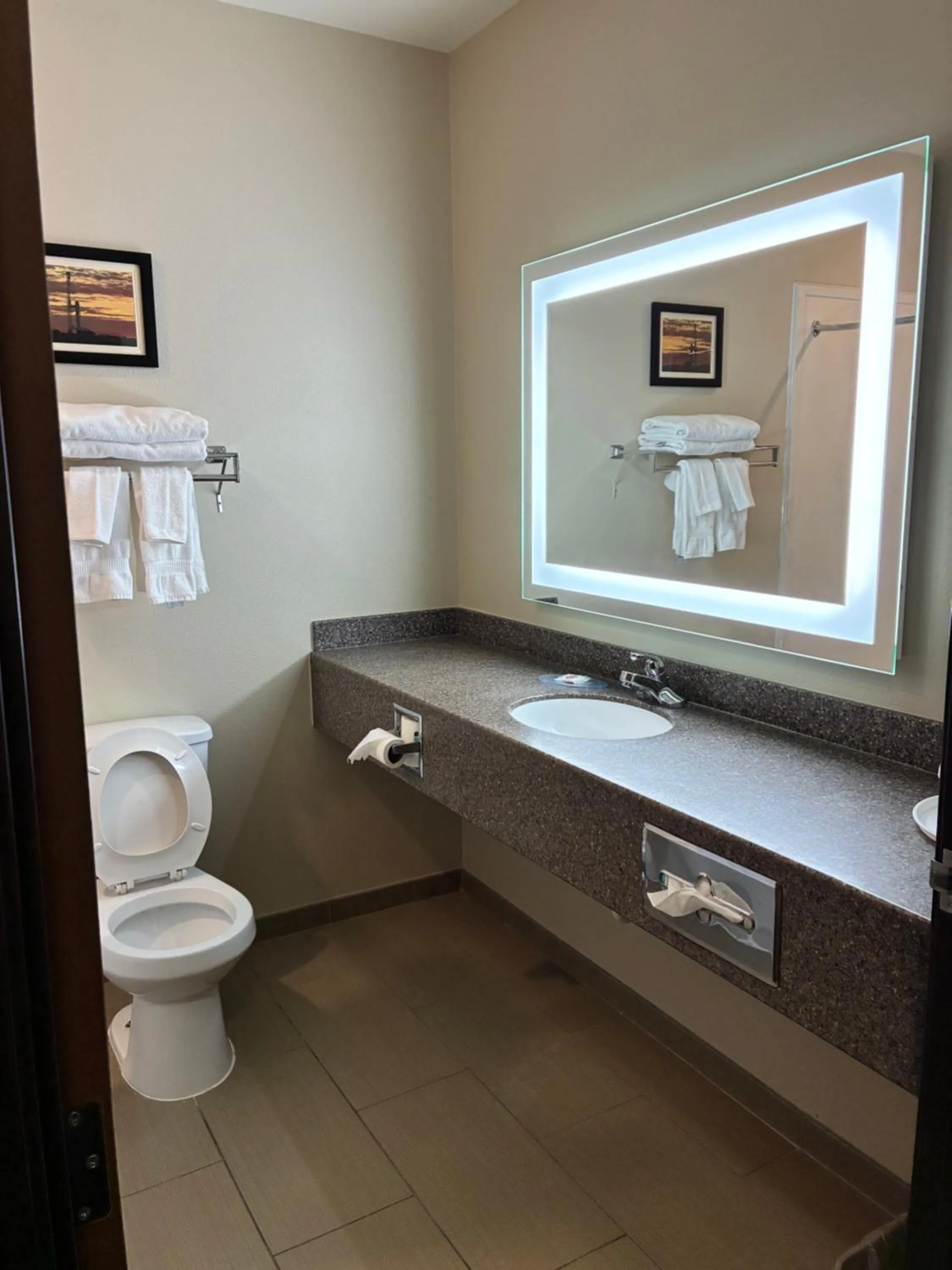 Toilet in Comfort Inn & Suites Sterling