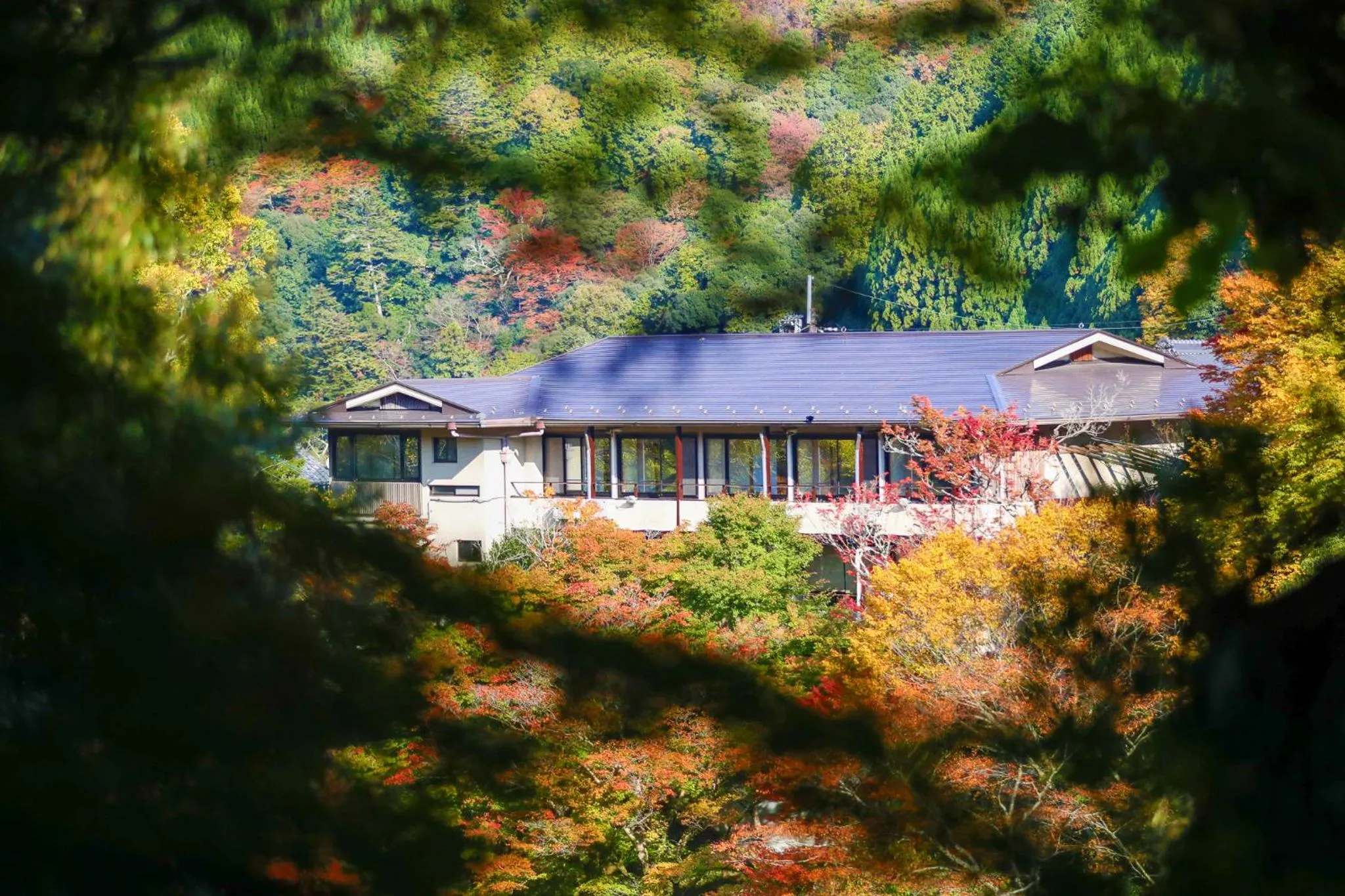 Property building in Momijiya Honkan Takaosansou