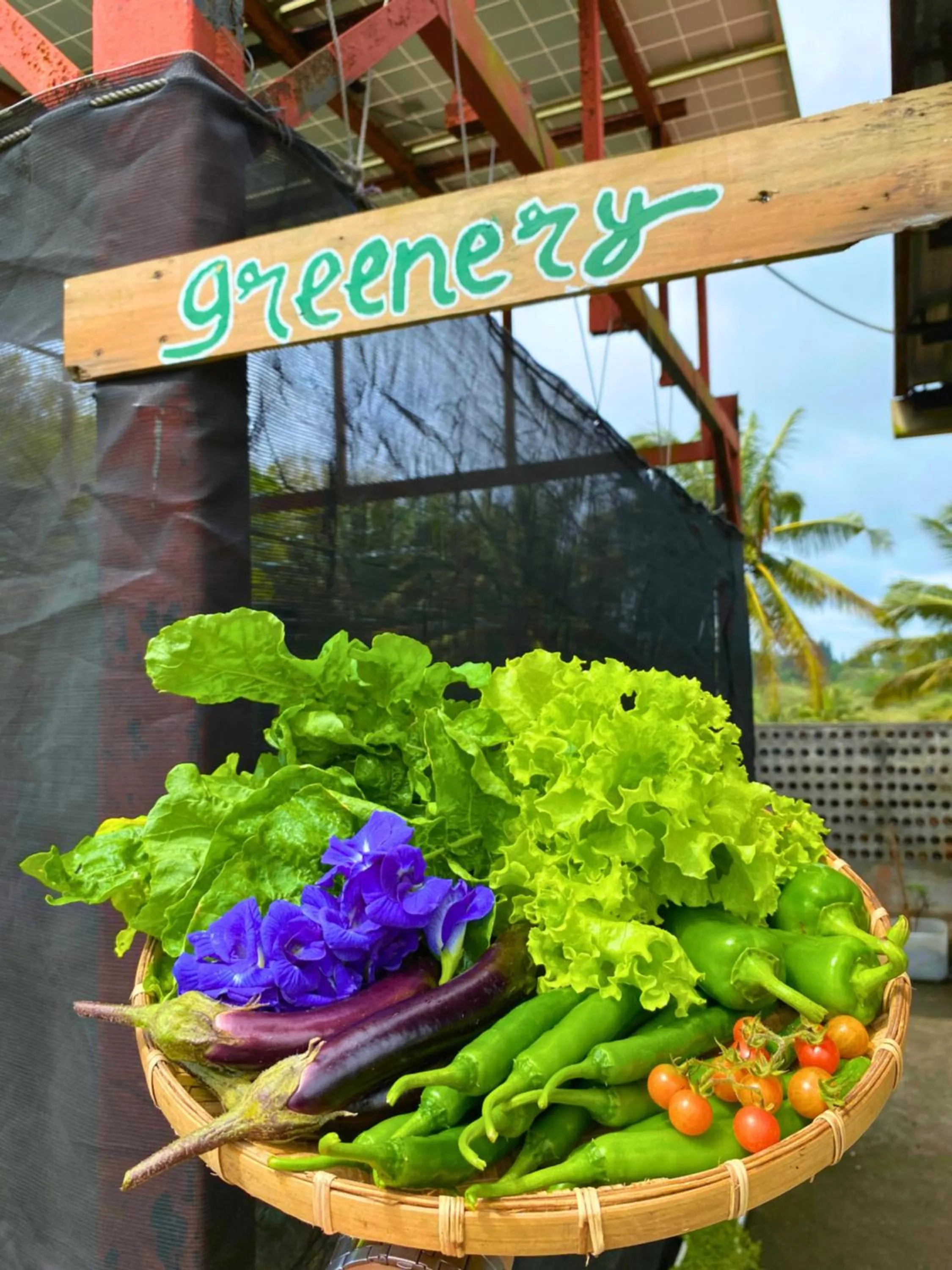 Garden in Containers by Eco Hotels