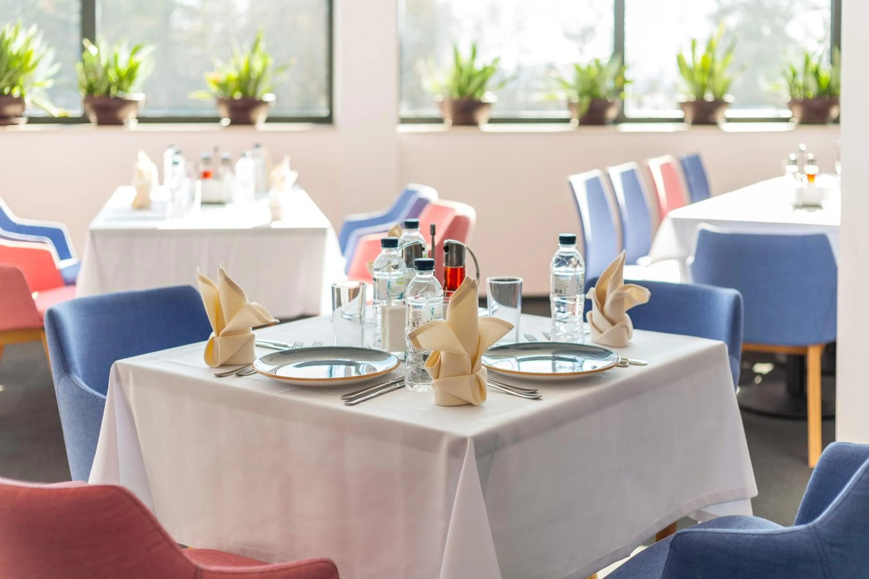 Restaurant/places to eat in Amiral Hotel