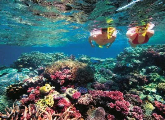 Snorkeling in Tamarind Beach Bungalow