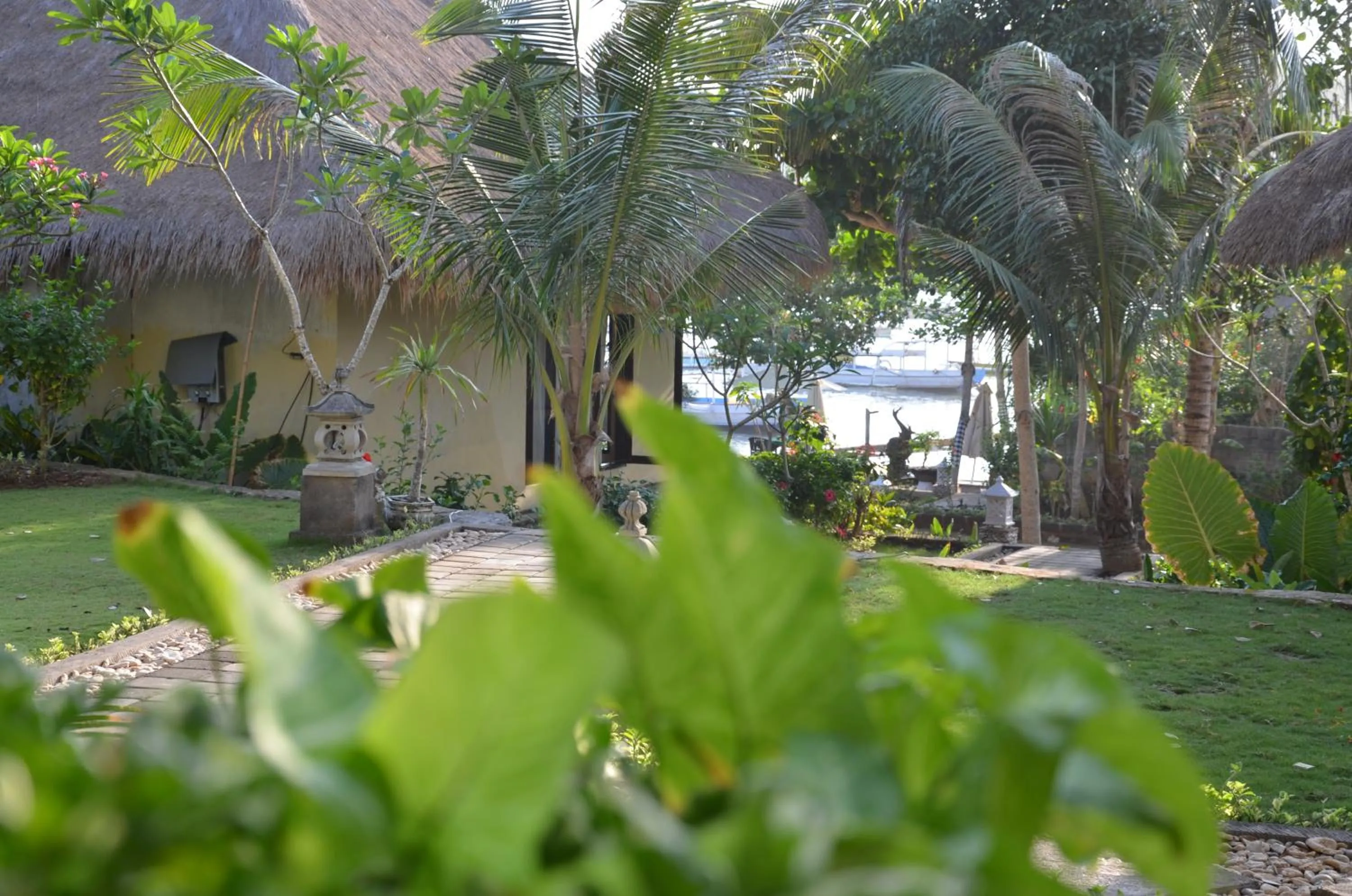 Garden in Tamarind Beach Bungalow