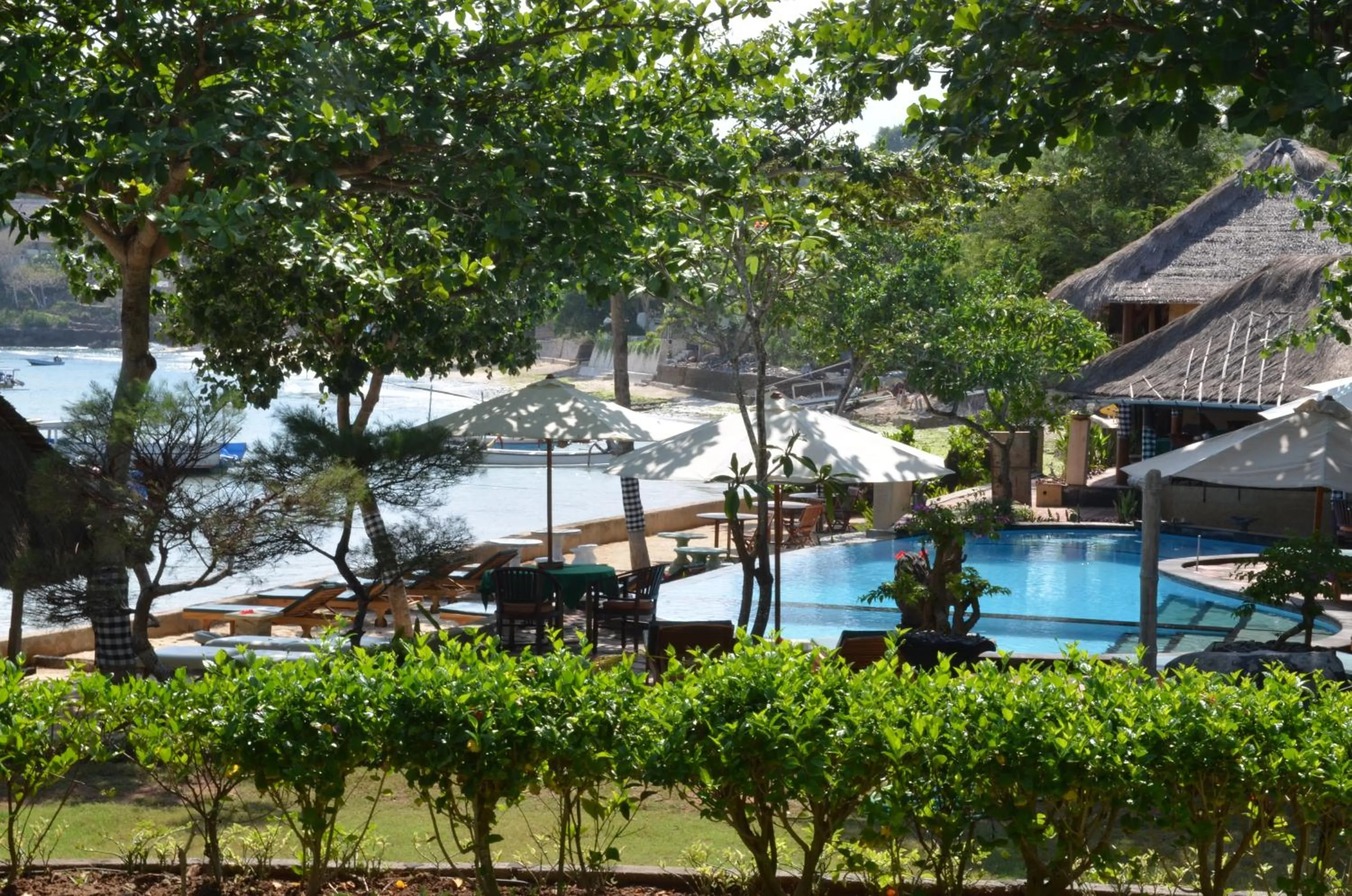 Garden in Tamarind Beach Bungalow