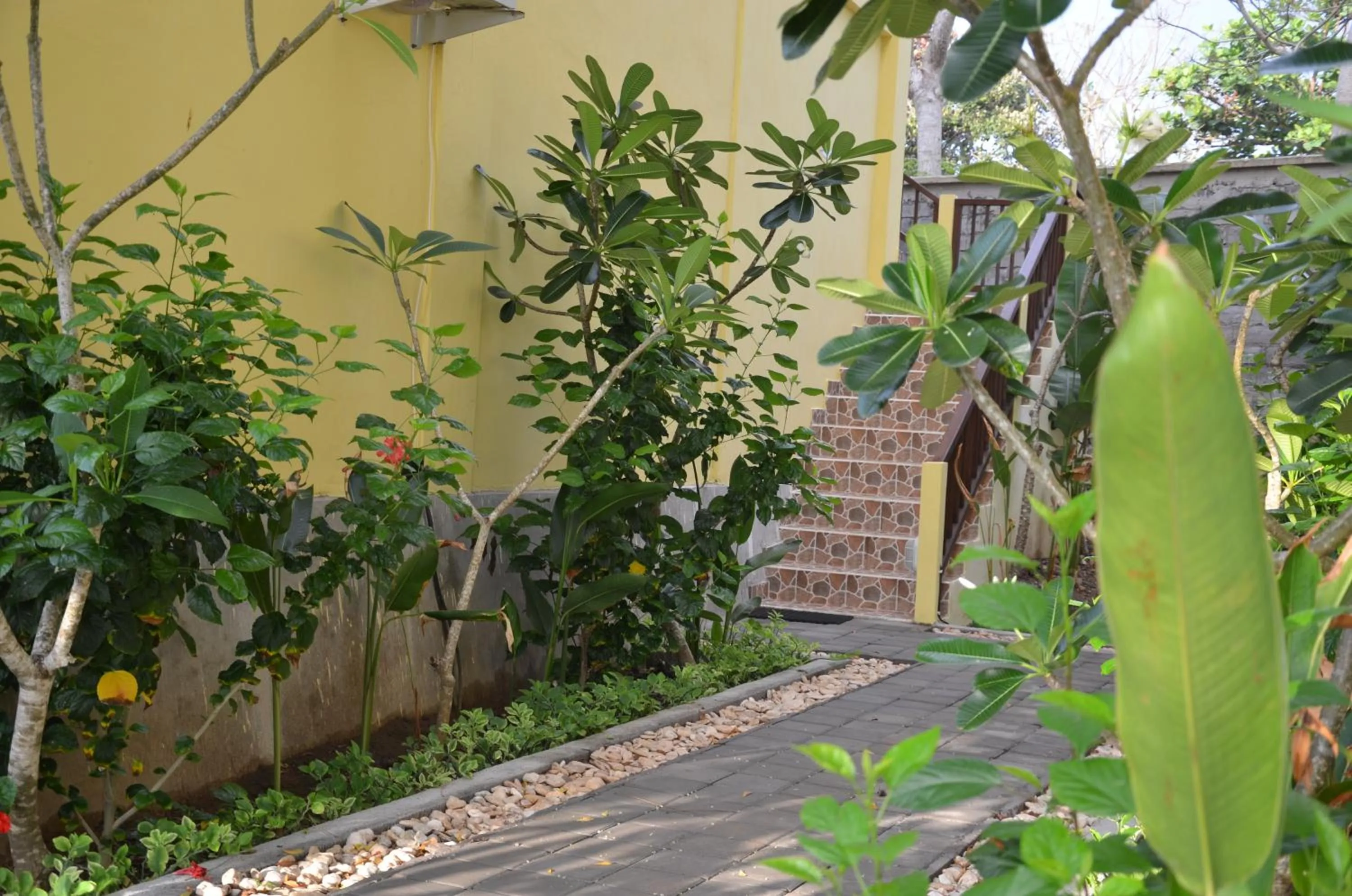 Garden in Tamarind Beach Bungalow