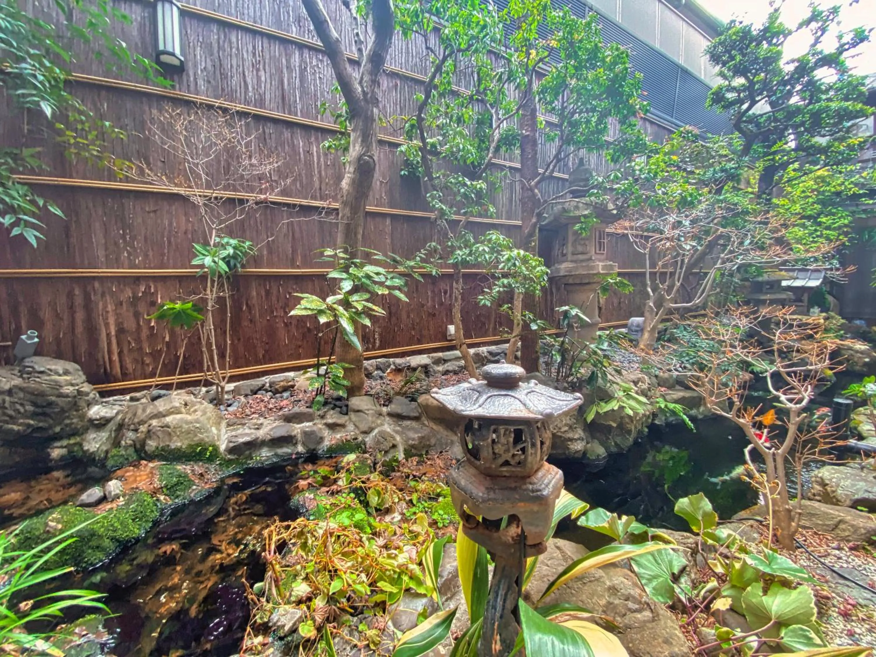 Garden view in Ryokan Sawaya Honten