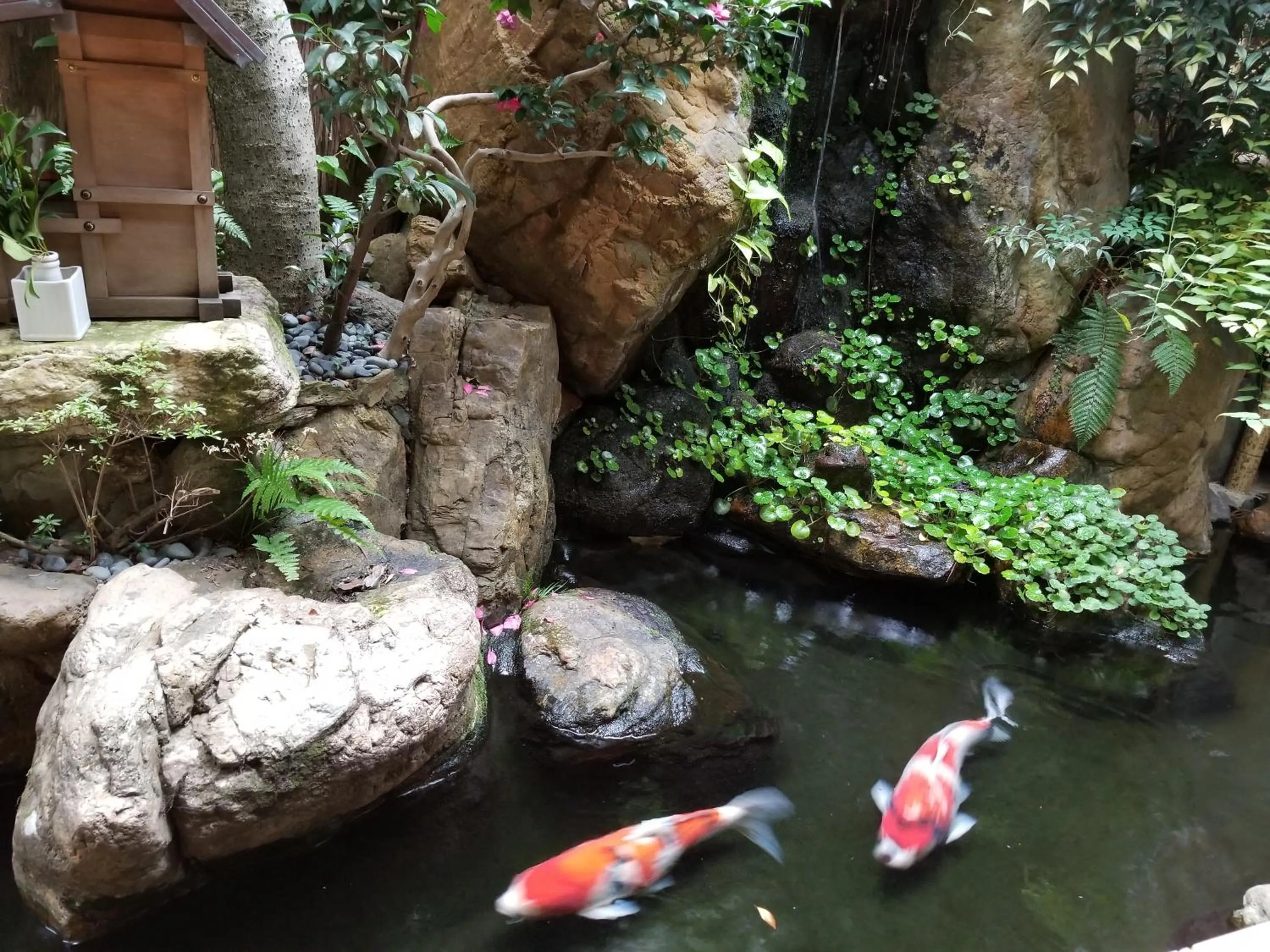 Garden in Ryokan Sawaya Honten