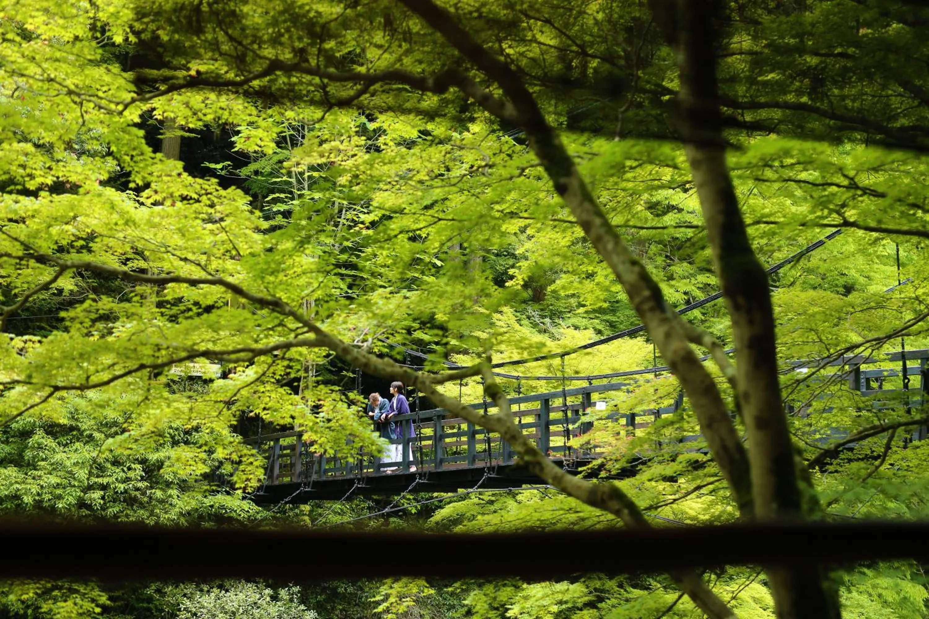 Property building in Momijiya Annex